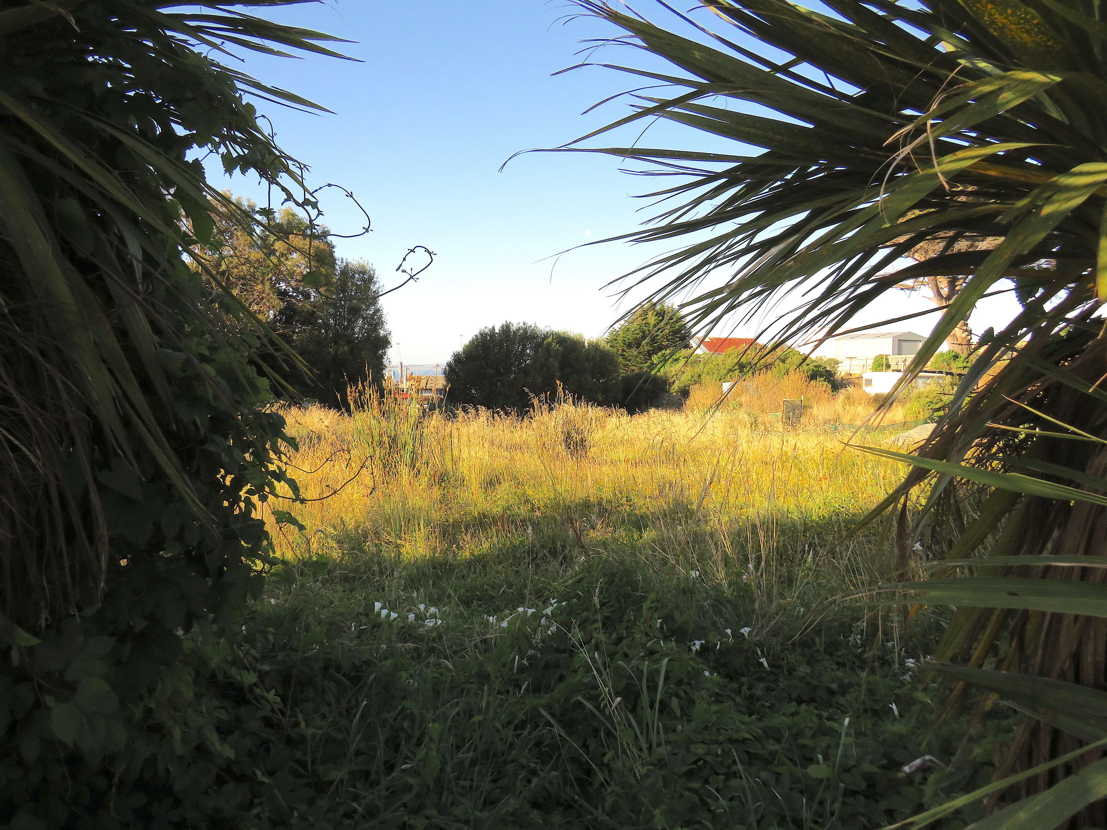 213 Bann Street, Bluff, Invercargill