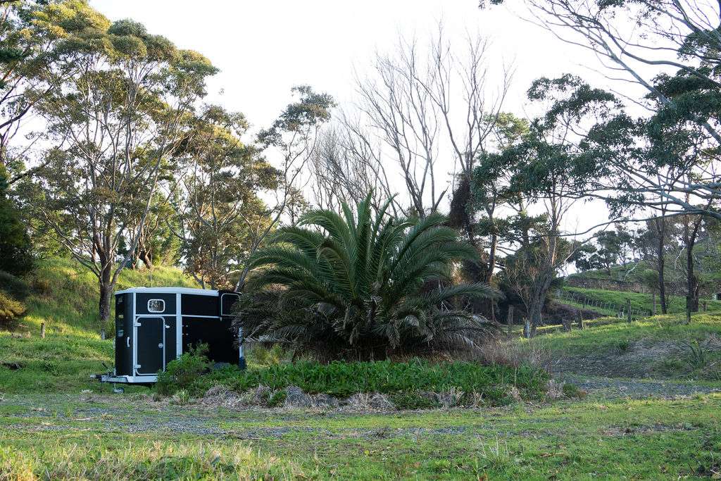 67C Kokohuia Road photo 3