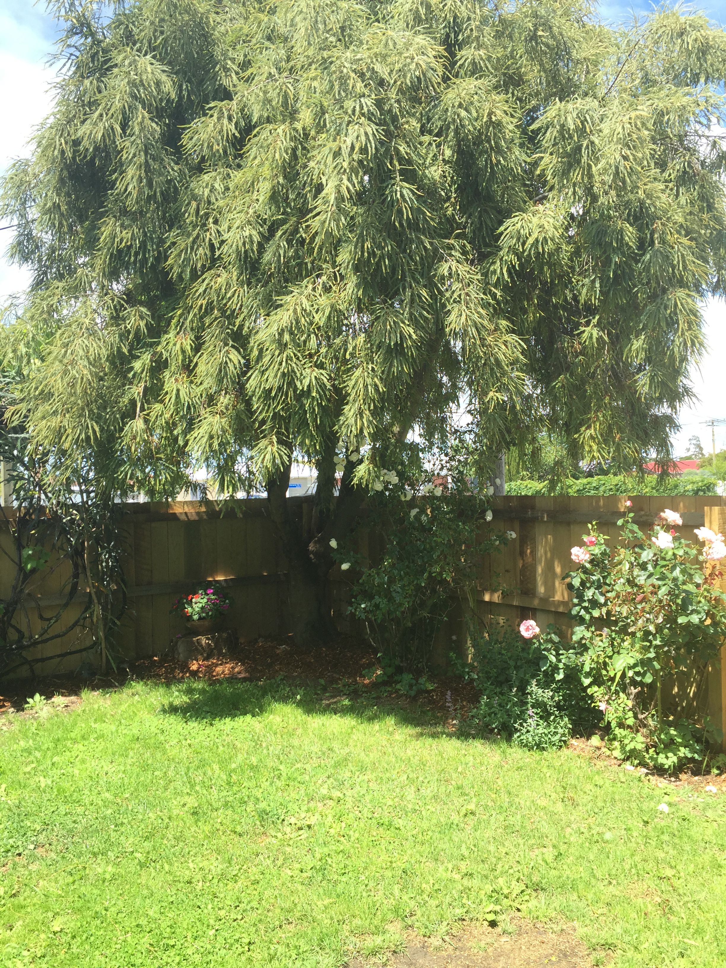 31 Manchester Street, Tinwald, Ashburton District