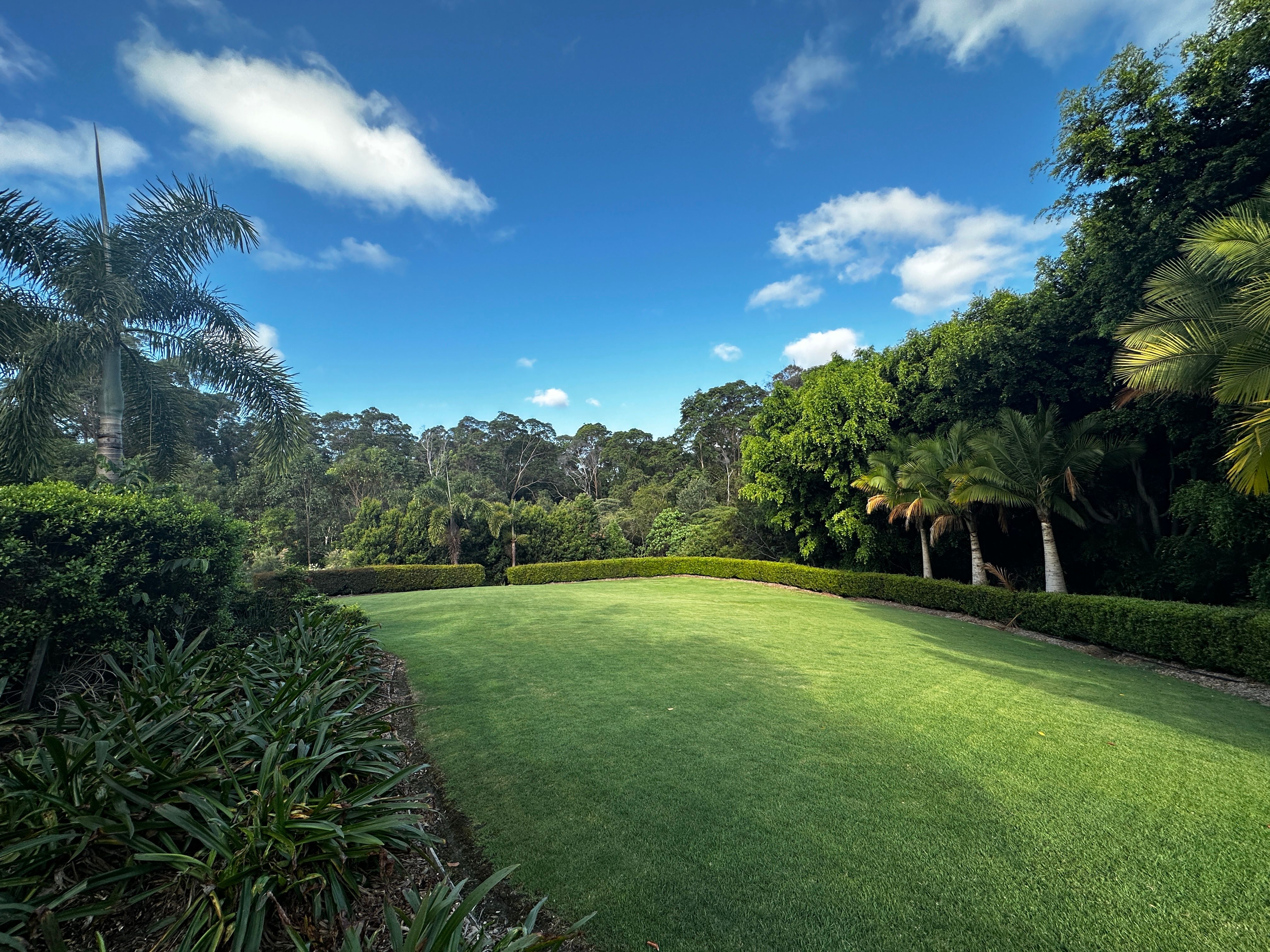 36/97a Burnett Street — photo 9 of 11