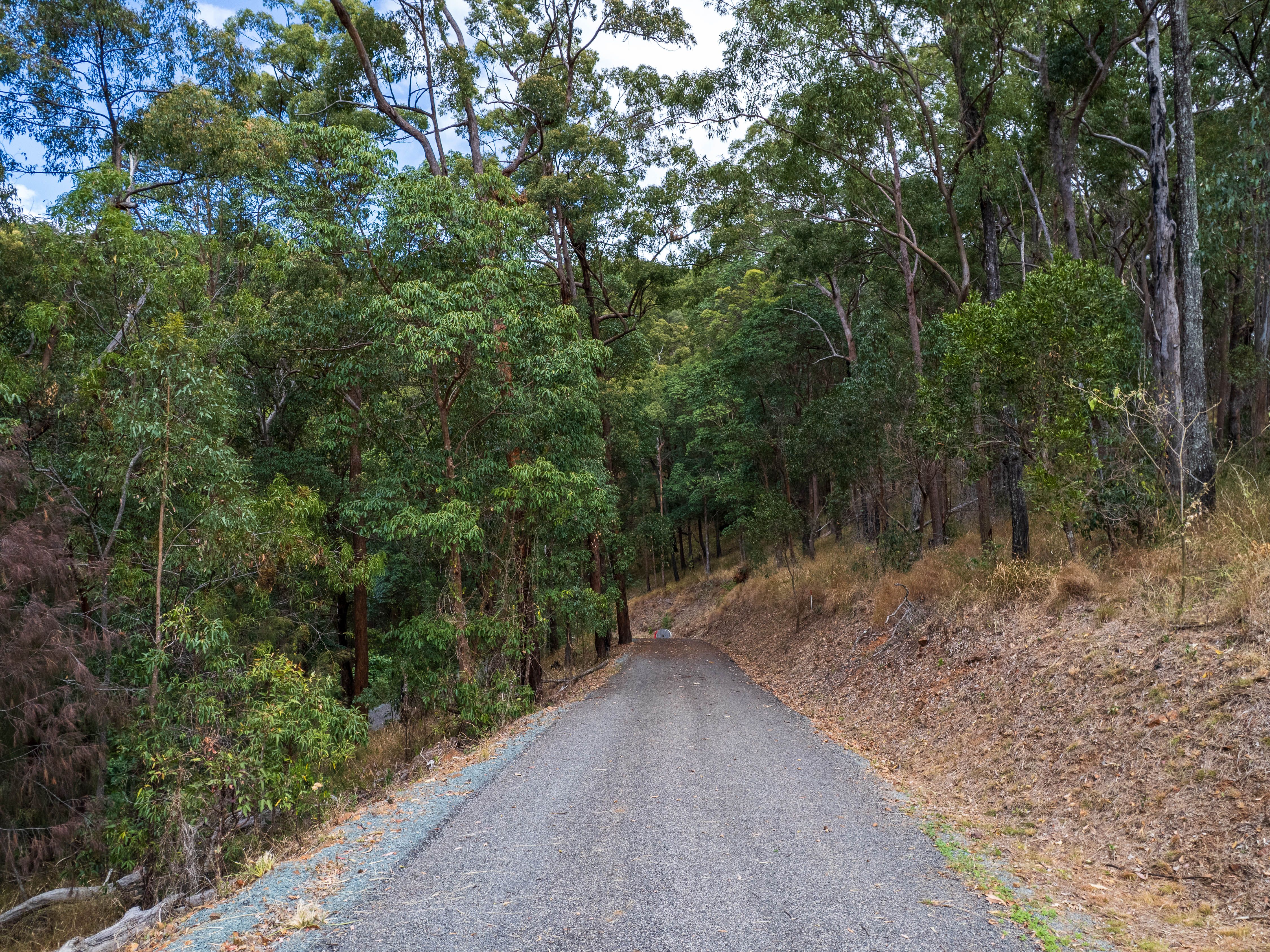 9.98 Hectares of Opportunity — photo 13 of 14