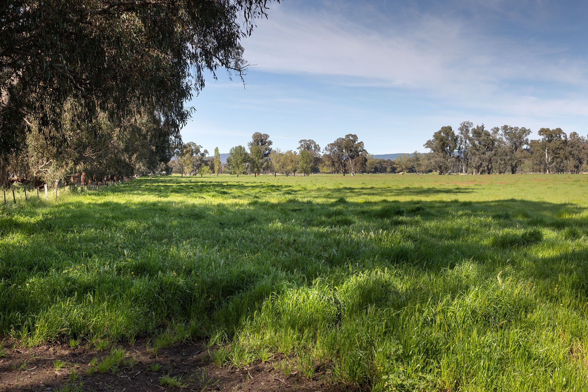 Lot 2 LP139833 BenallaWarrenbayne Road, Baddaginnie, VIC 3670 Sold
