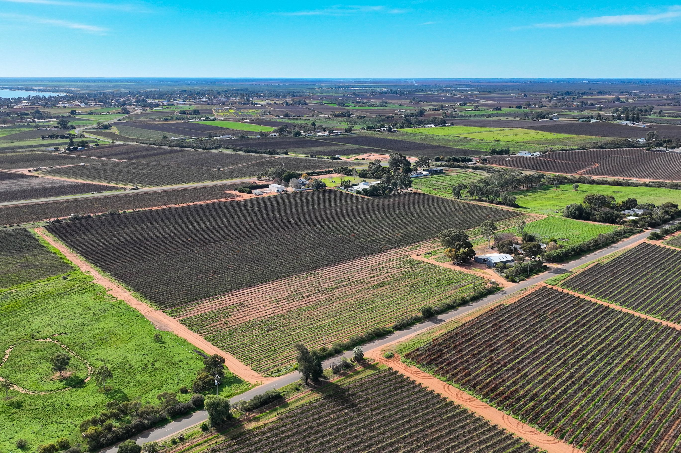 Lot 52 Hoffmann Road, Loveday, SA 5345