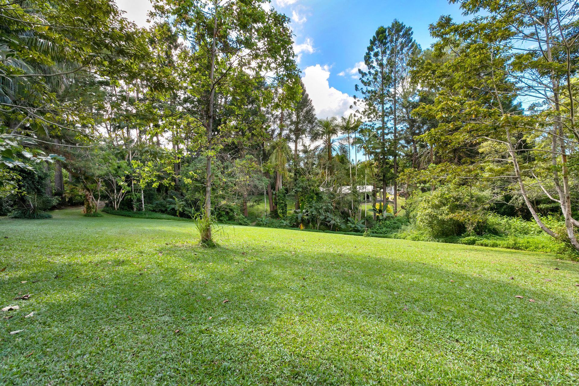 51 High Chapparal Road, Kuranda, QLD 4881
