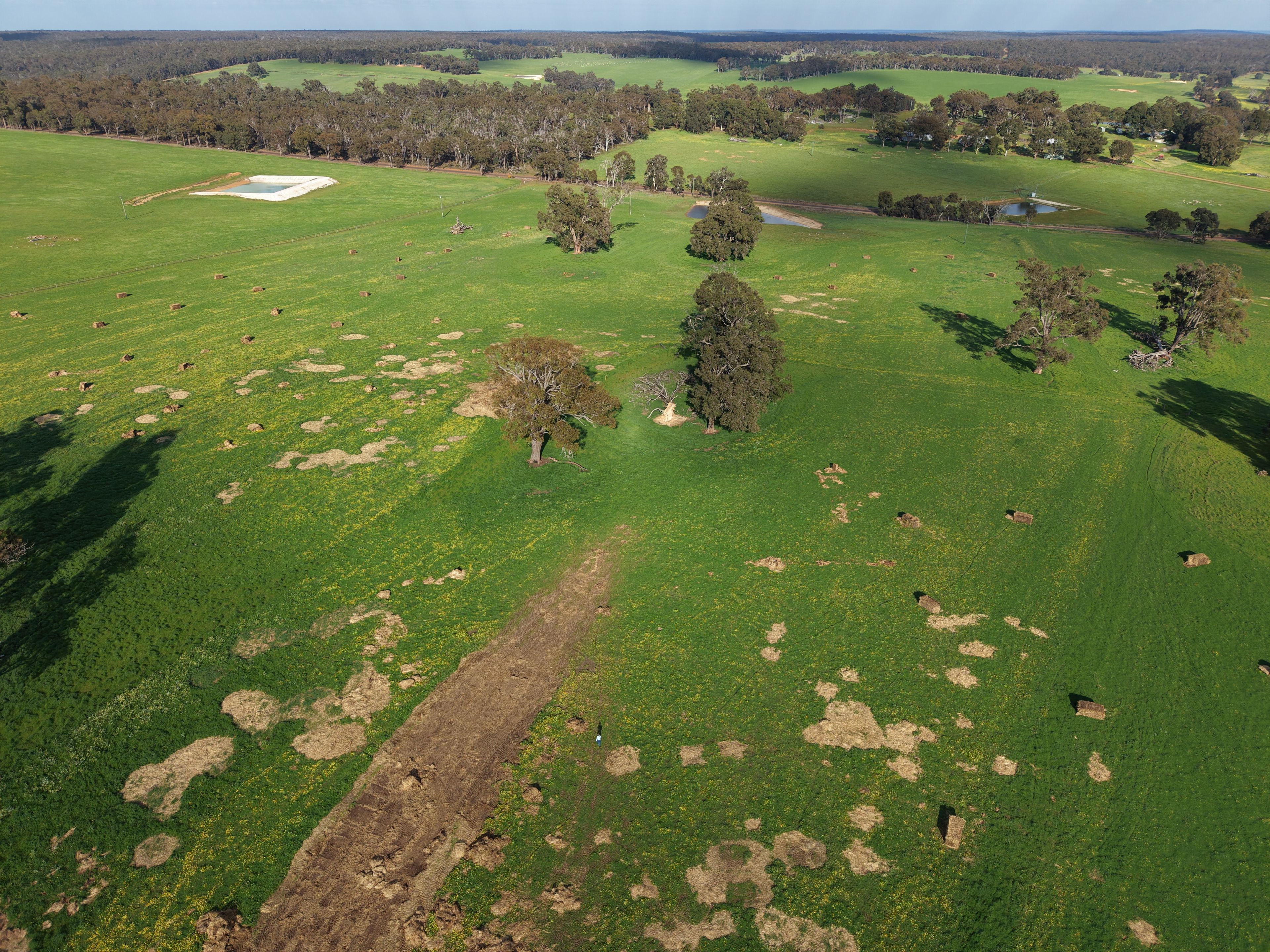 PL 806 Scotts Brook Road, Scotts Brook, WA 6244 - Land for Sale - Ray ...
