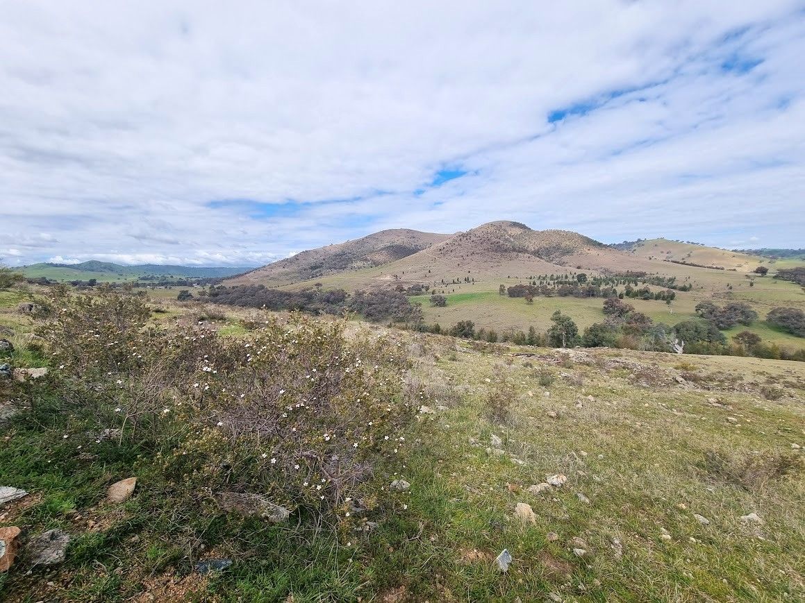 364 Kangaroo Mount Road — photo 12 of 16
