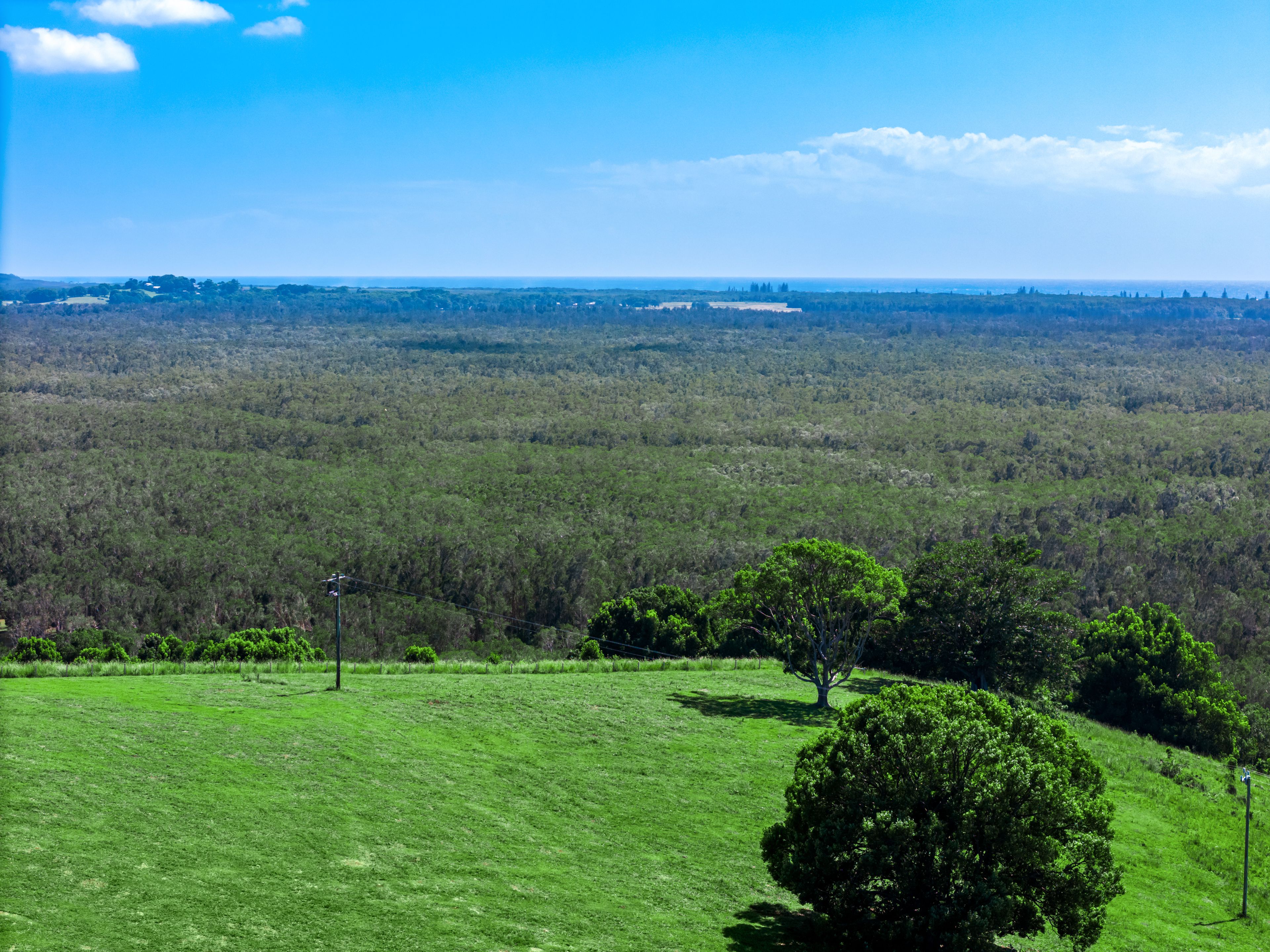 138 Sandy Flat Road — photo 9 of 24