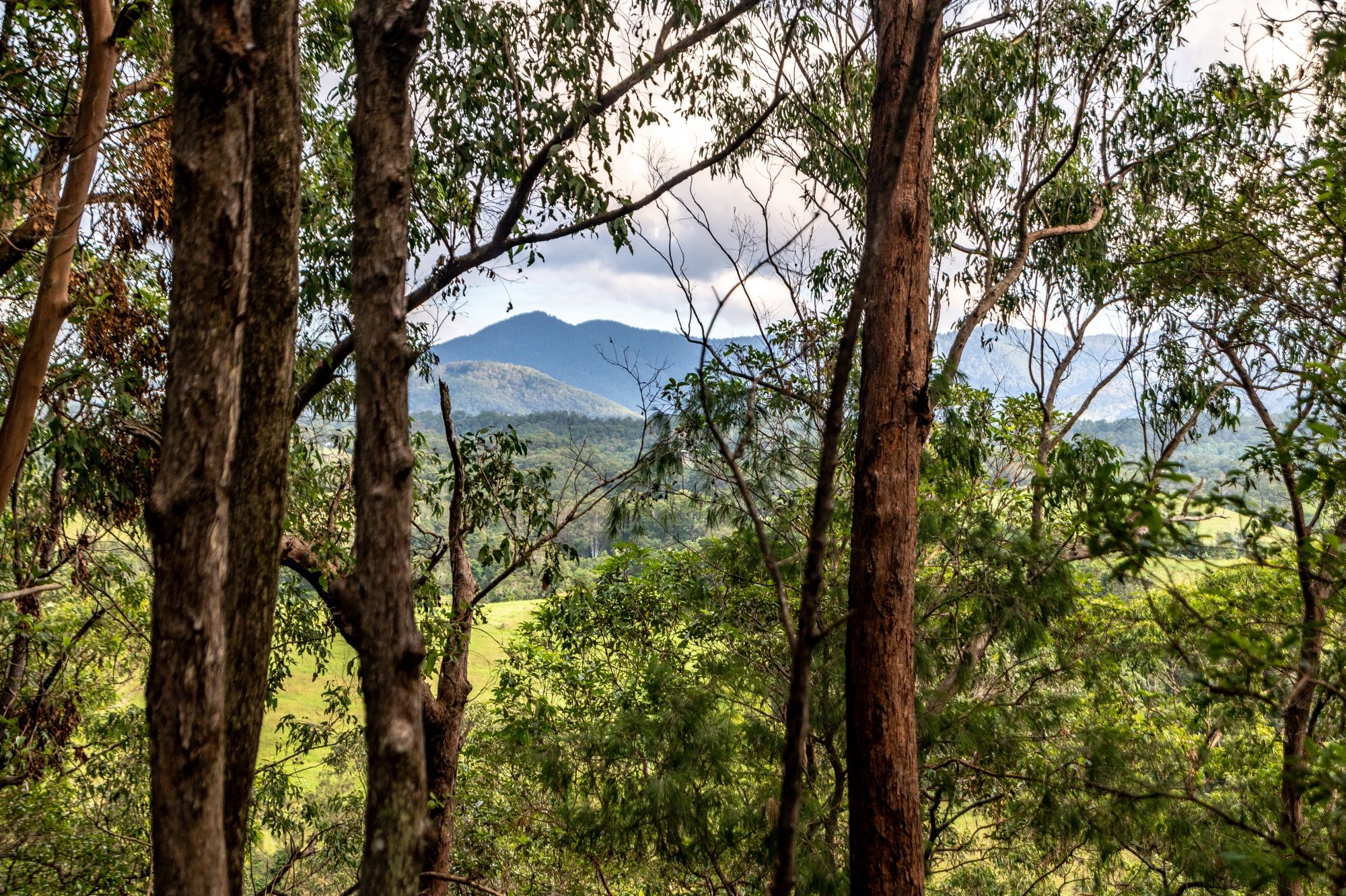 Dayboro, QLD 4521 Land for Sale Ray White Rural Dayboro Eumundi