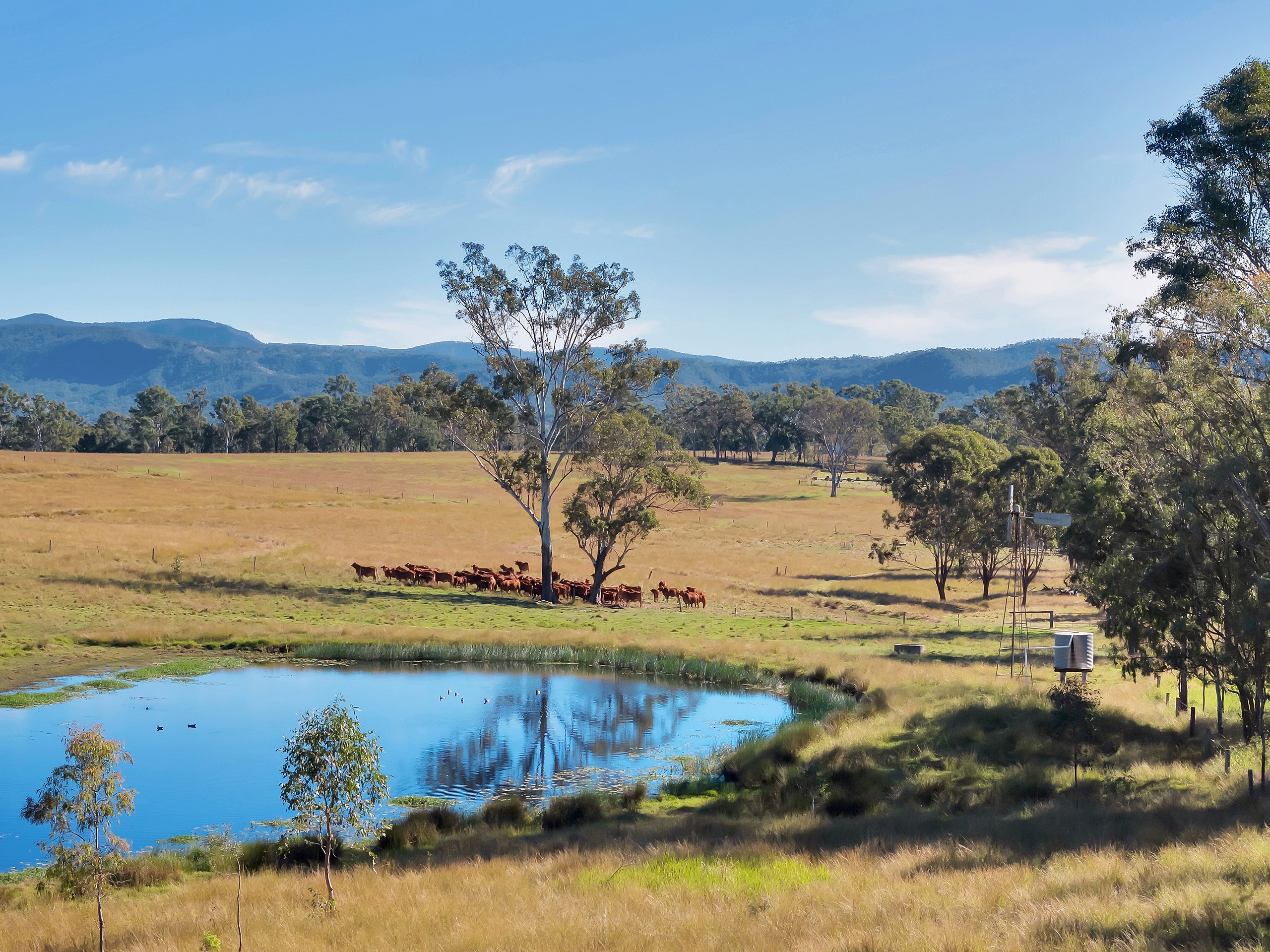 Lot 72 Old Rosevale Road, Rosevale, QLD 4340
