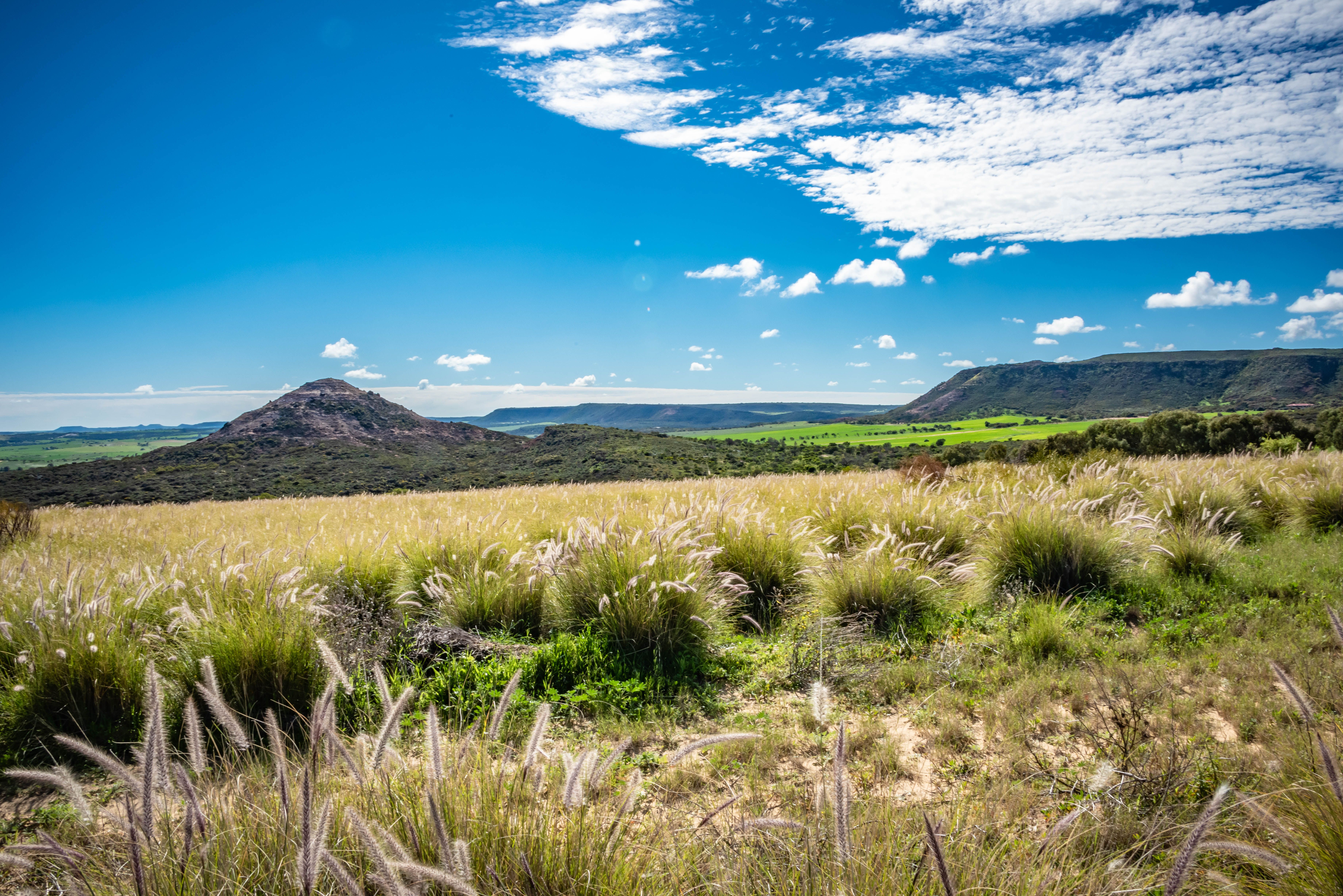 31 Brown Lane, White Peak, WA 6532