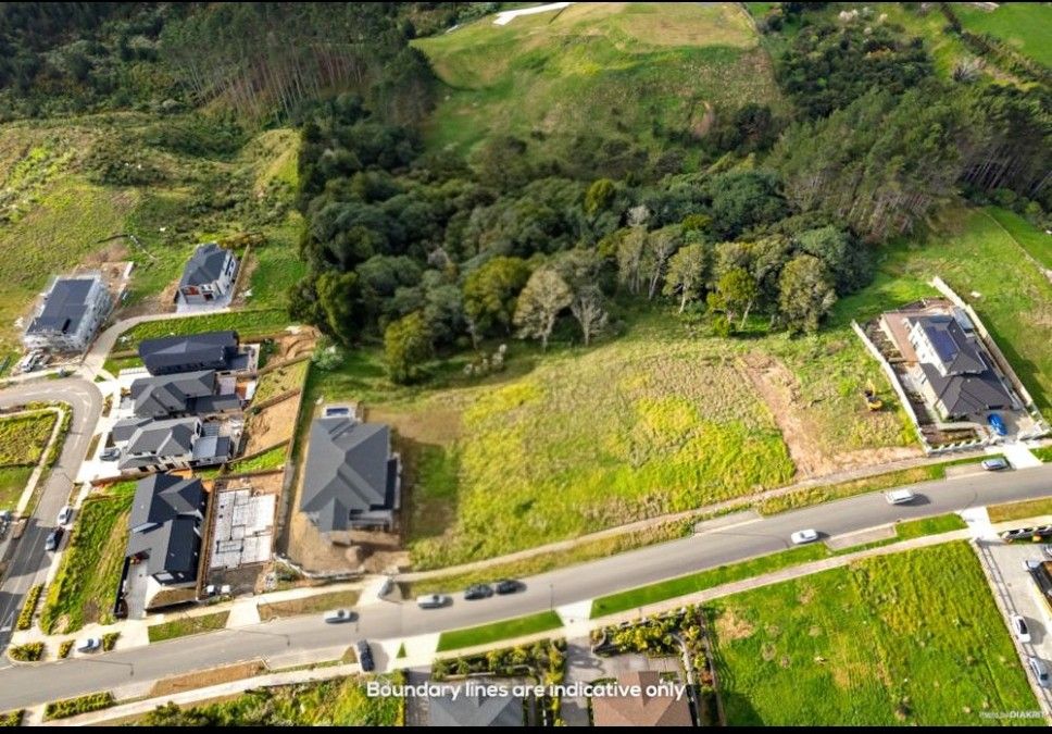 23 Michael Bosher Way, Flat Bush, Manukau City