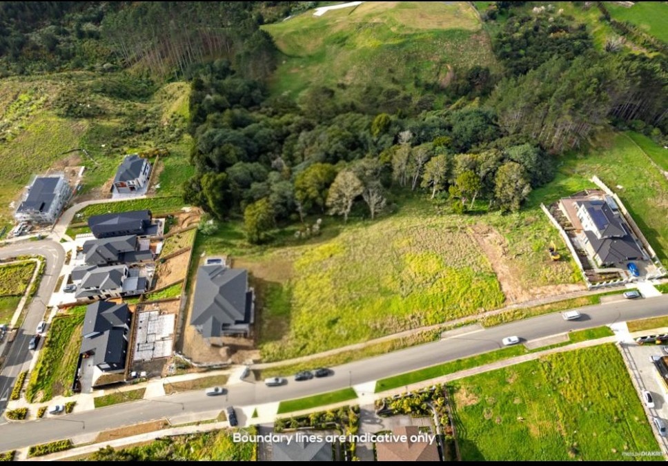 23 Michael Bosher Way, Flat Bush, Manukau City