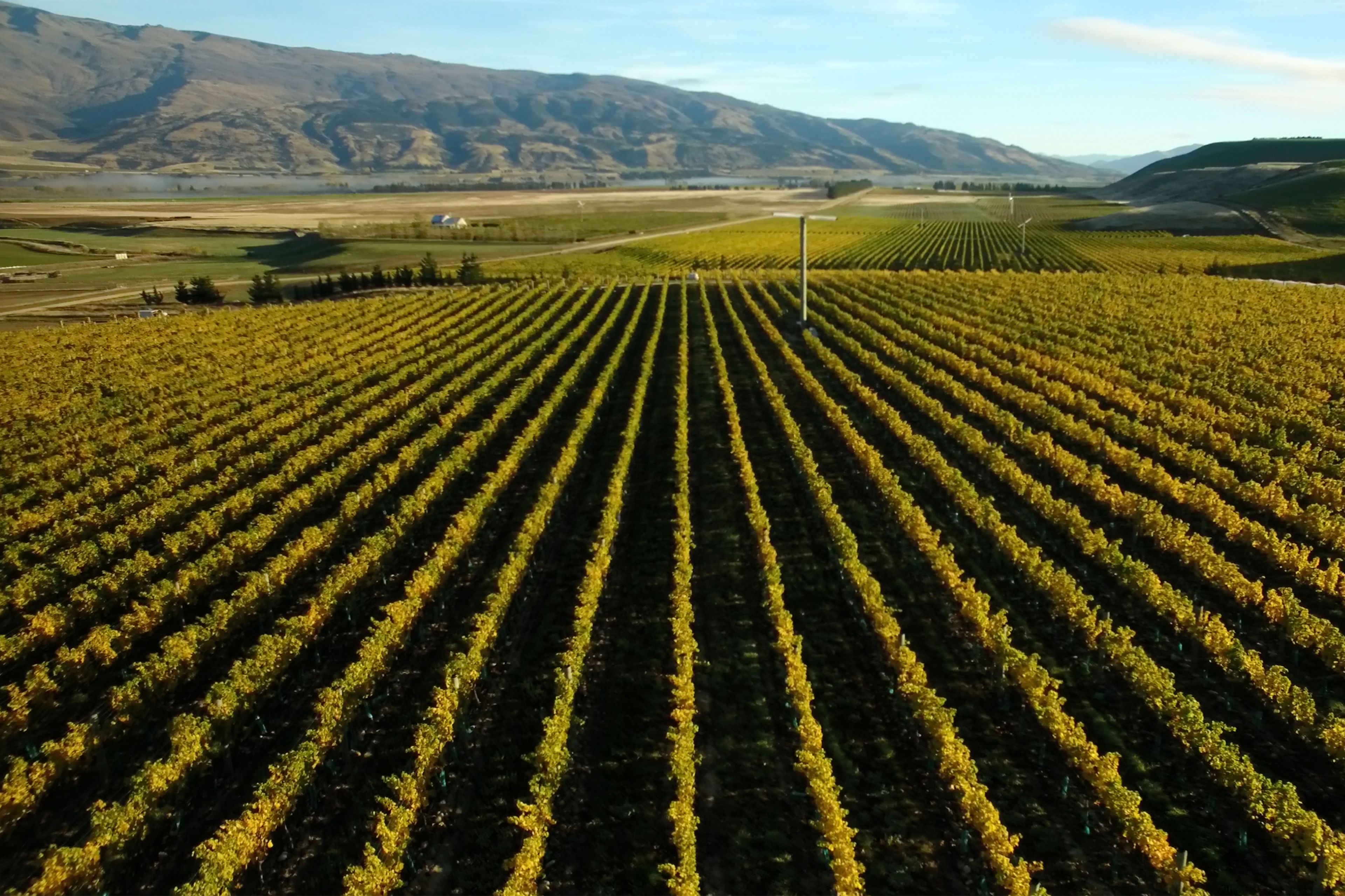 370 Bendigo Loop Road, Bendigo, Central Otago District