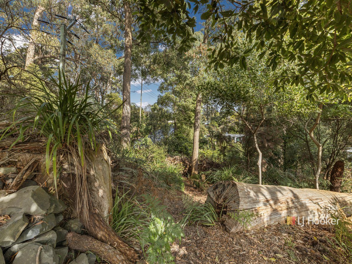 30 Elfrida Avenue — photo 14 of 24