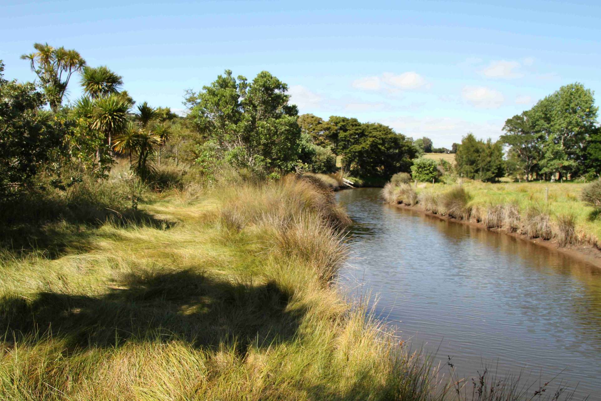 Lot 1 State Highway 10 photo 17