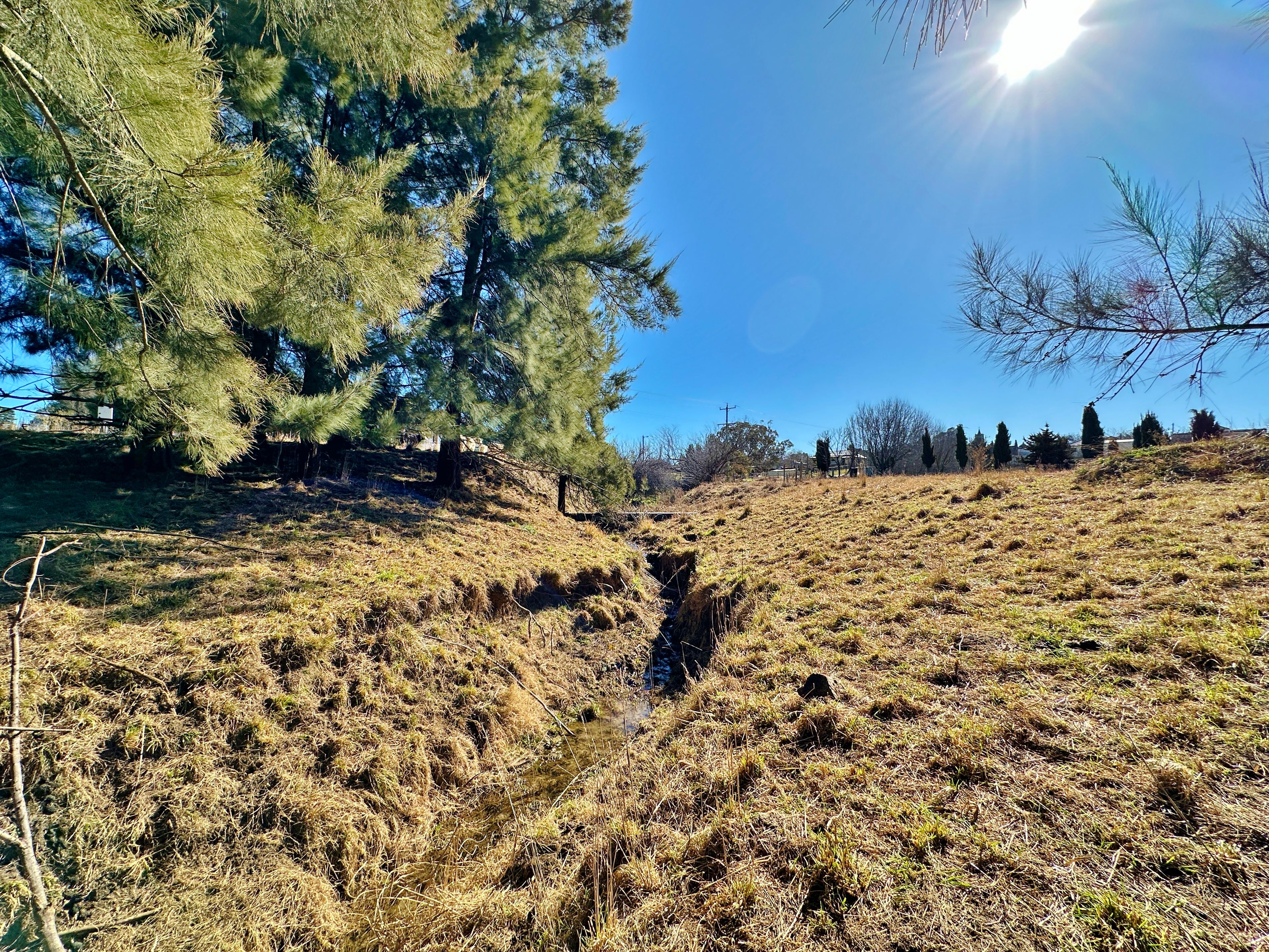 Lot 11 & 12 Binalong Street, Harden, NSW 2587 Land for Sale Ray