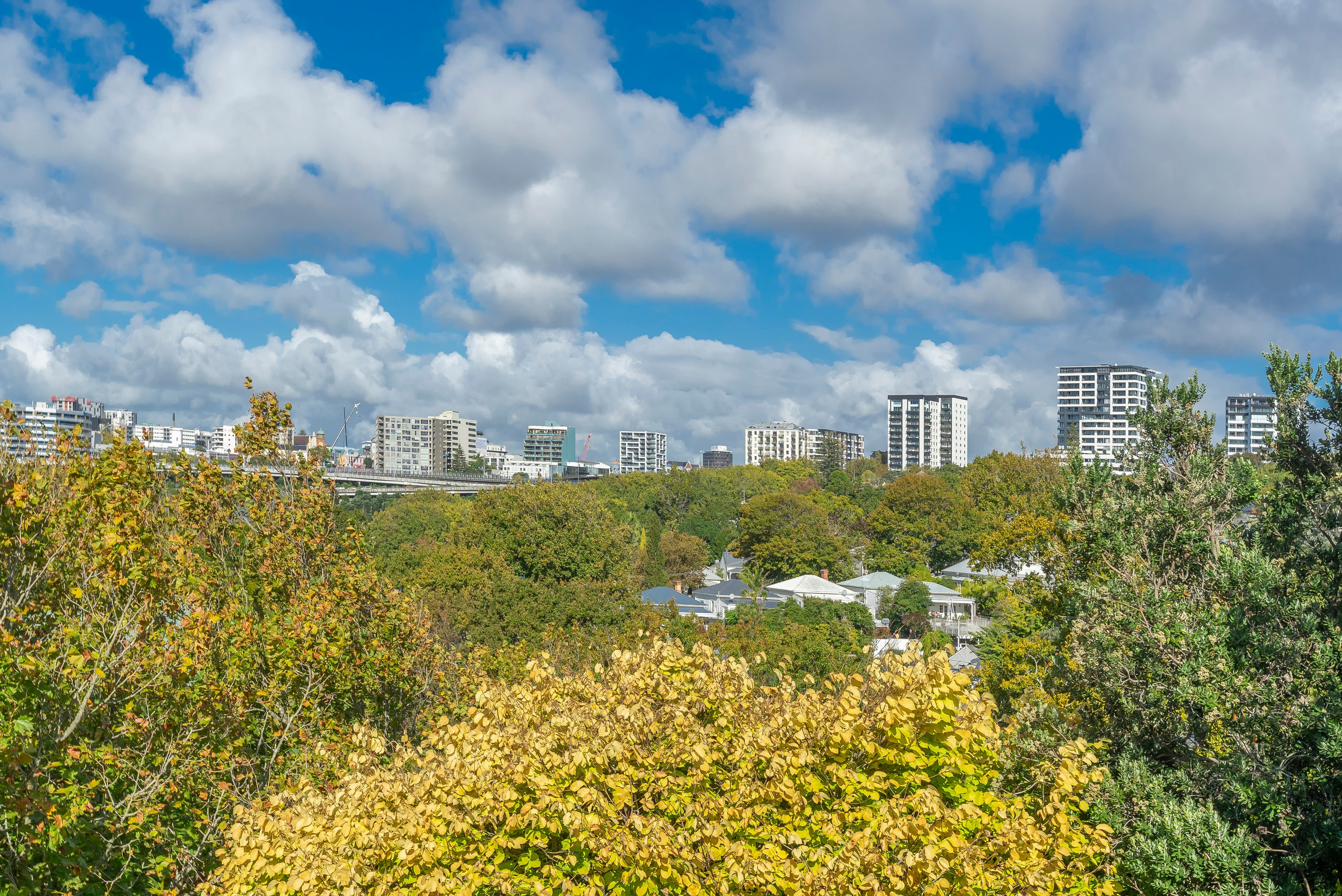 14/49 Collingwood Street, Freemans Bay, Auckland City
