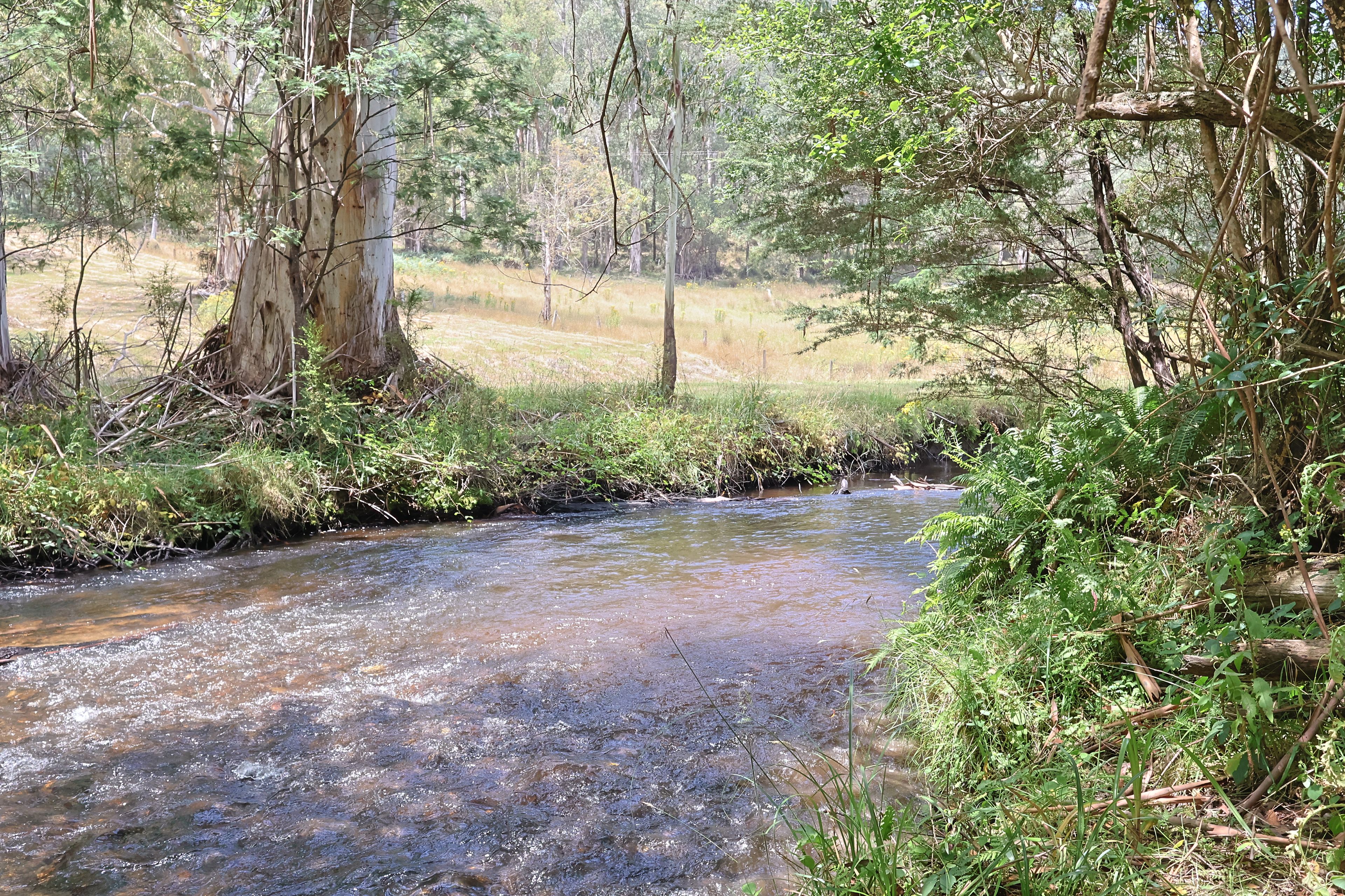 Lot 37 Toorongo Valley Road, Noojee, VIC 3833