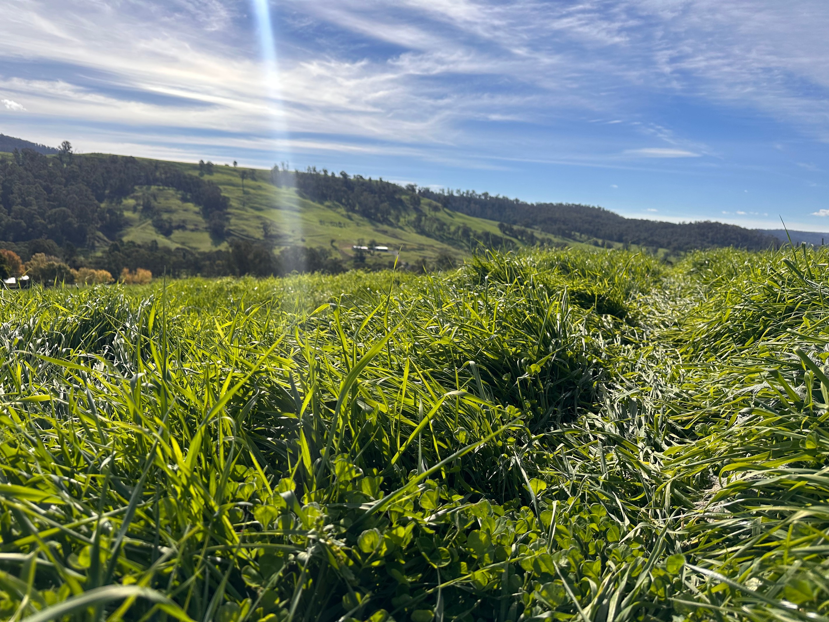 580 Batlow Road, Tumbarumba, NSW 2653