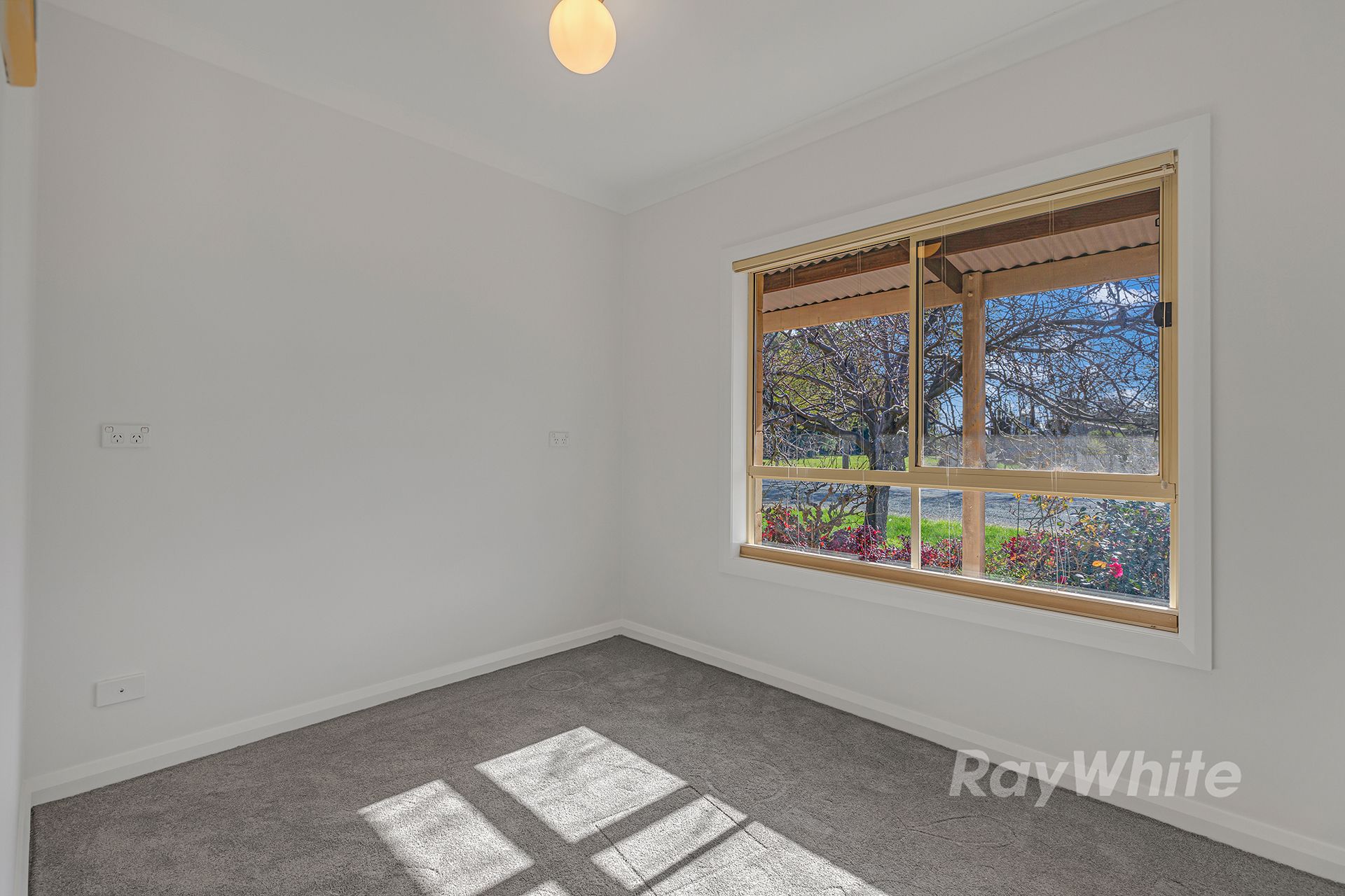 50 Francis Street — photo 19 of 27
