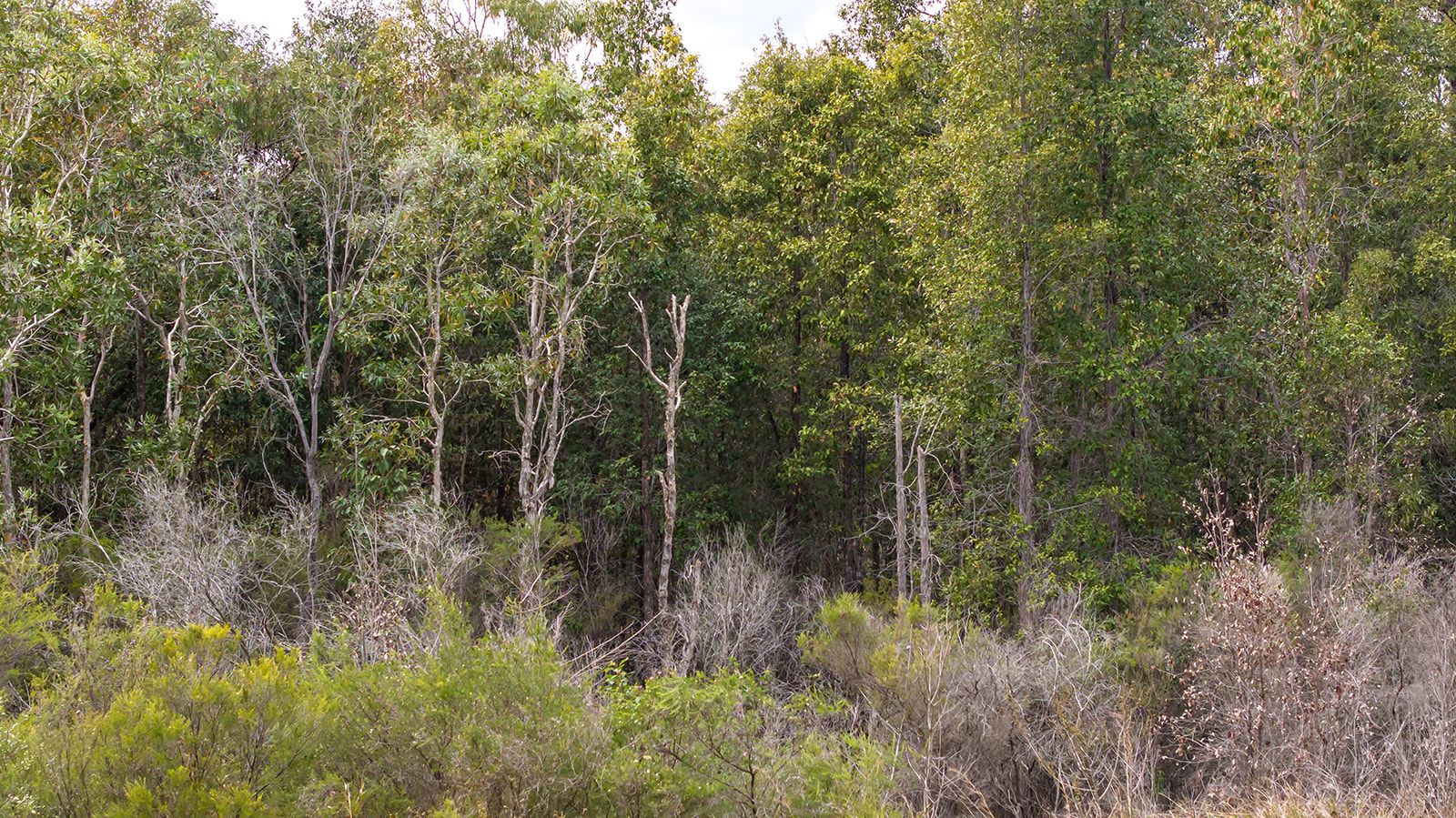 Lot 21 Baldaw Road — photo 5 of 13