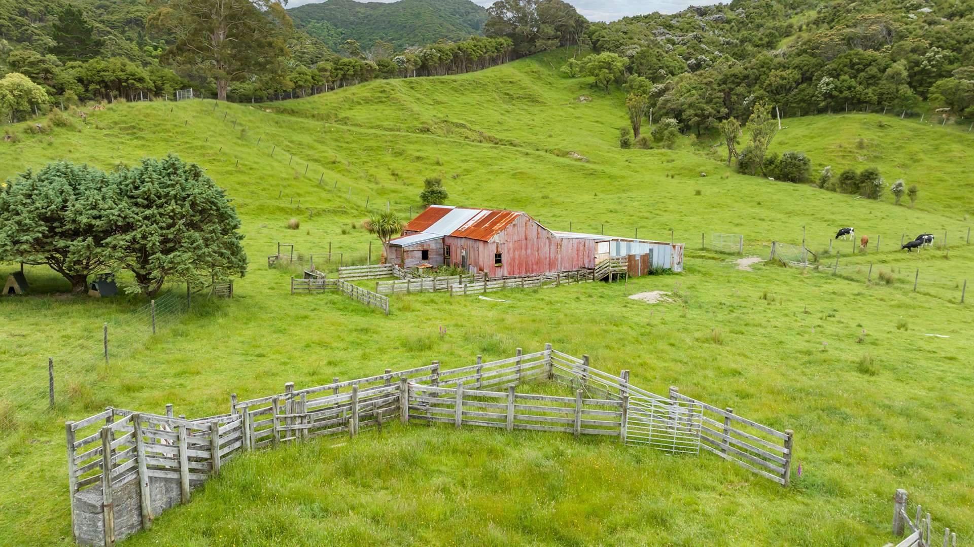 418 Kaiwaka Road photo 21