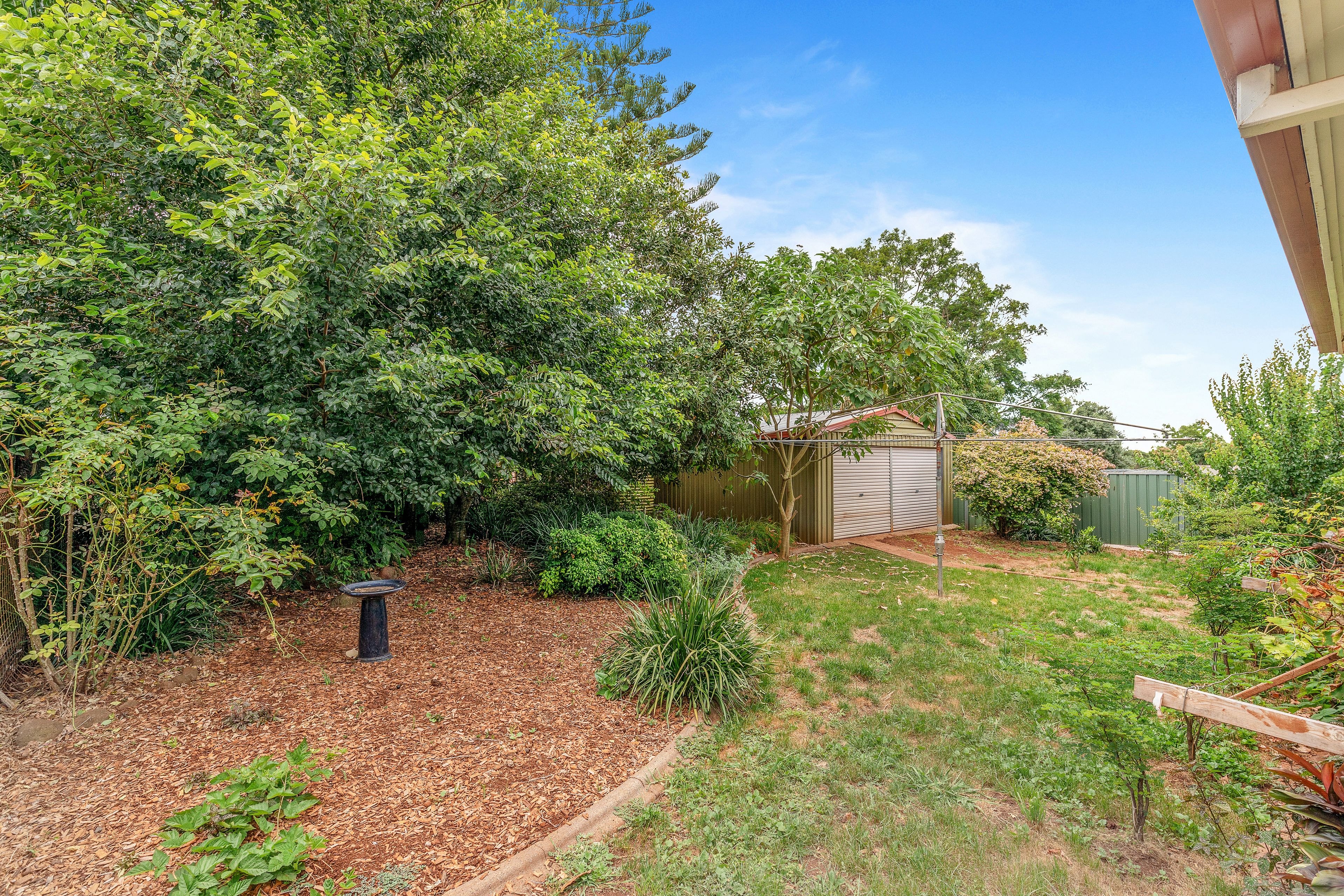 43 Sardon Street, Centenary Heights, QLD 4350