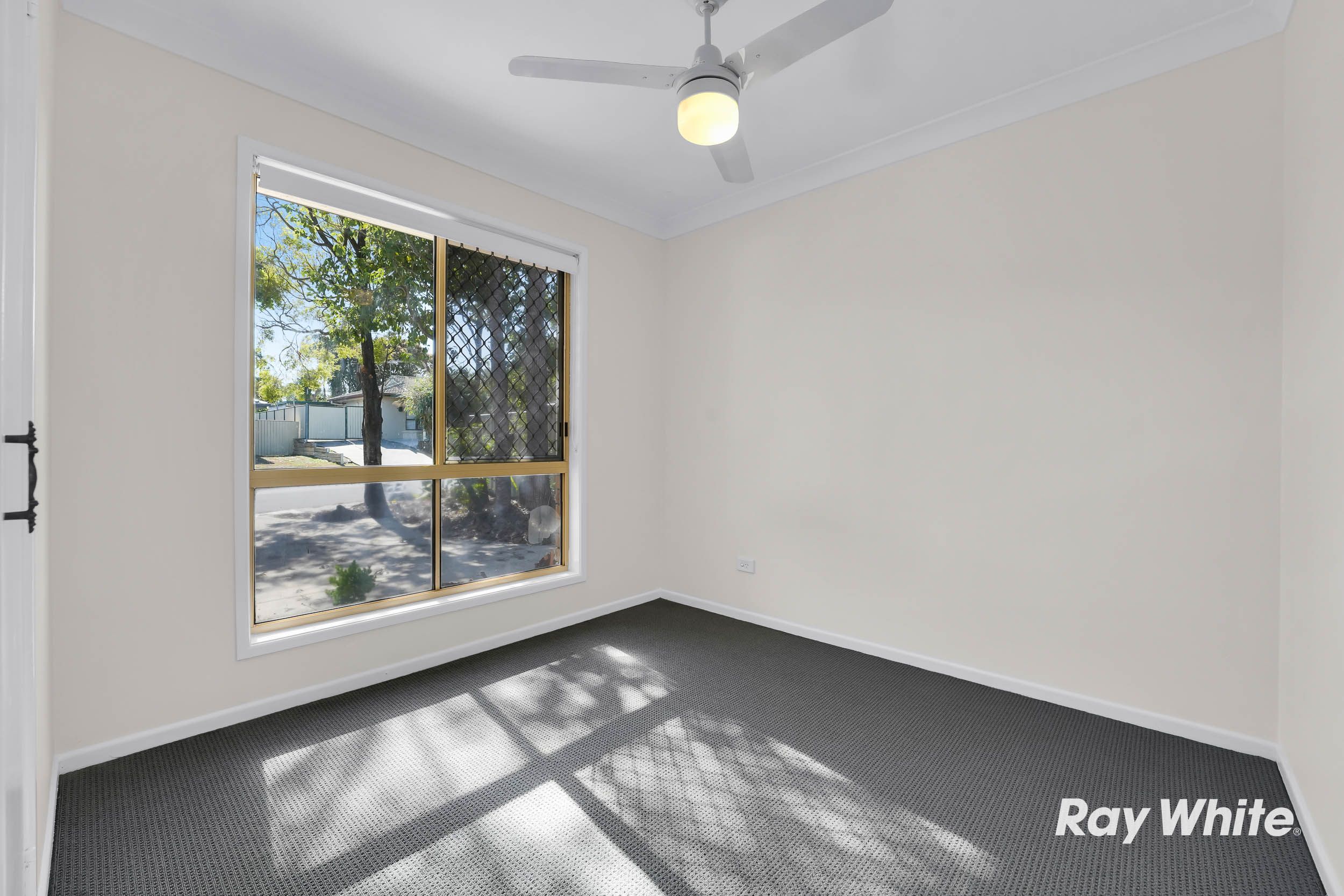 14 Dombeyah Street — photo 11 of 26