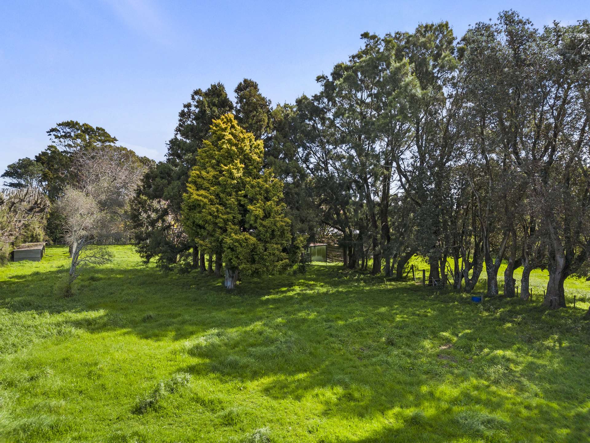 14 Waitara Road photo 36