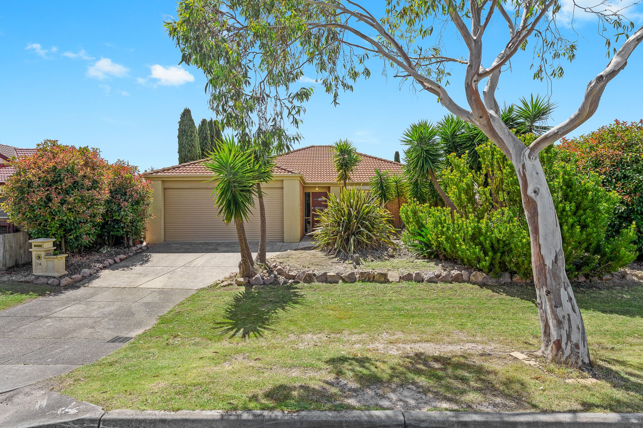 24 Hasluck Crescent, Lynbrook, VIC 3975