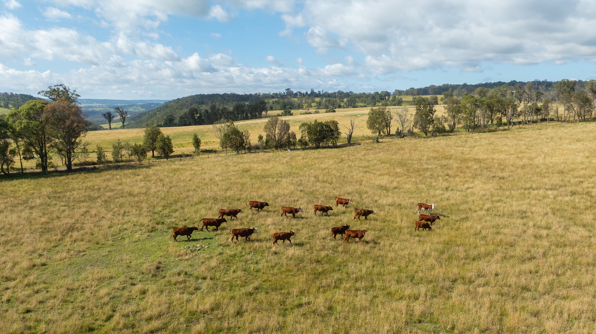 "Glen Bluff" 222 Riverview Road, Wards Mistake, NSW 2350