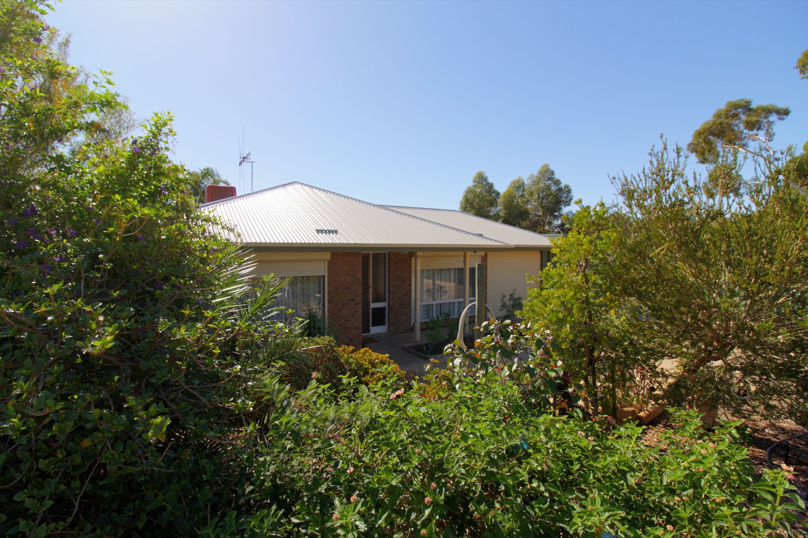 11 Westbrook Avenue, Loxton, SA 5333