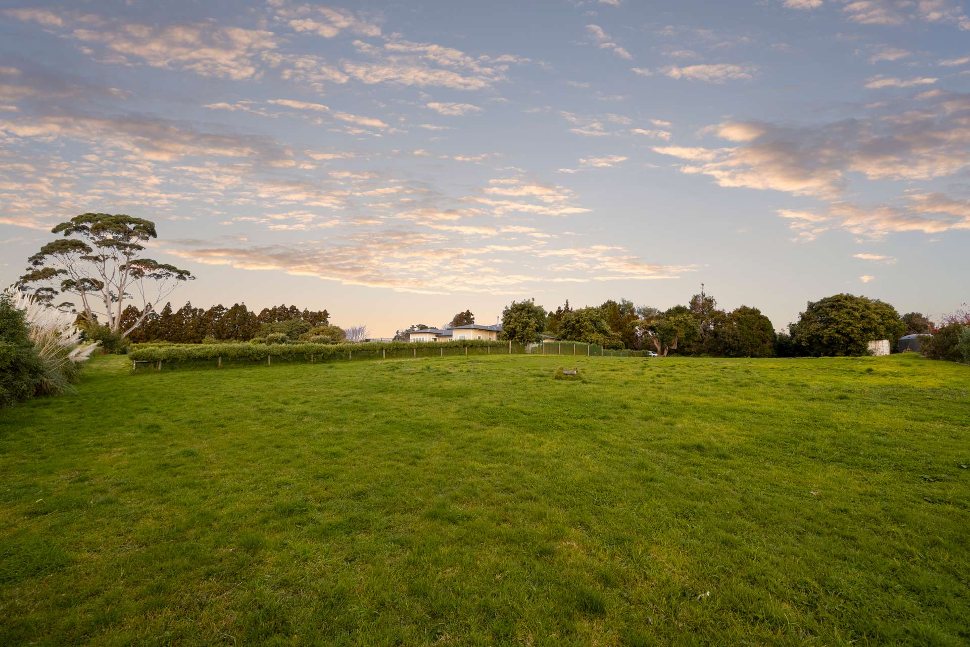 206 Ranginui Road photo 9