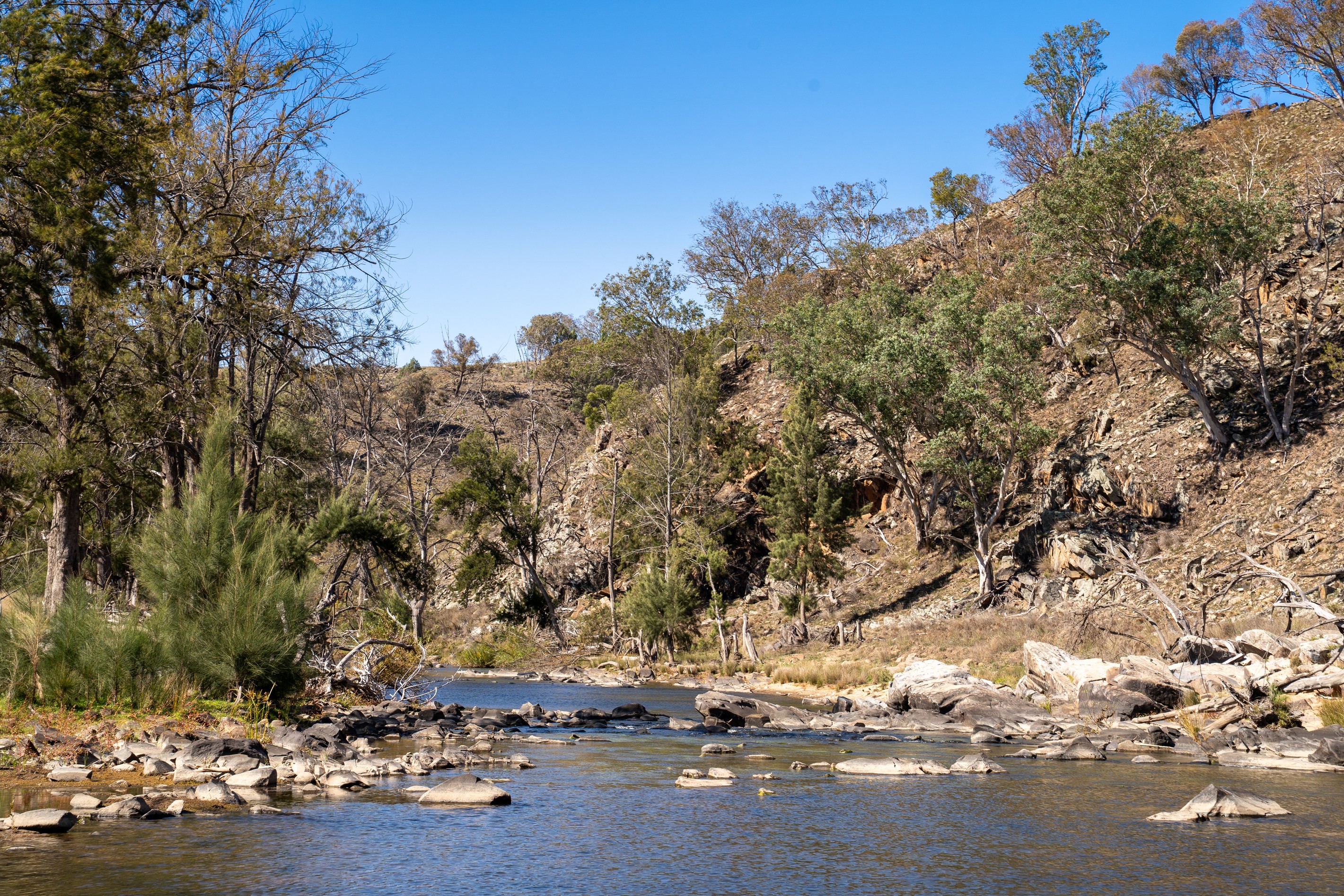 'Warra Creek' 652 Killongbutta Road, Killongbutta via, Bathurst, NSW 2795