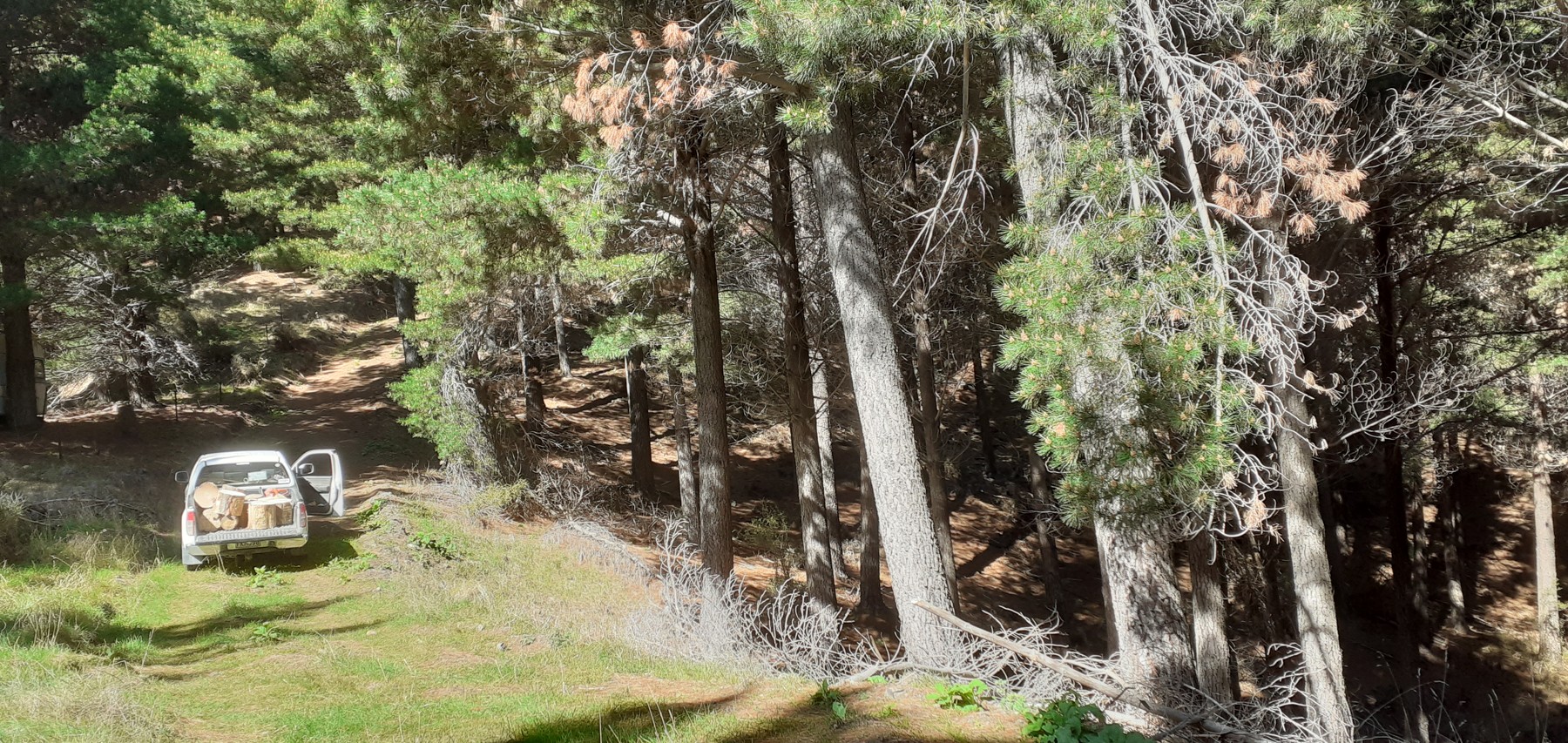 3586C Waihopai Valley Road, Waihopai Valley, Marlborough District