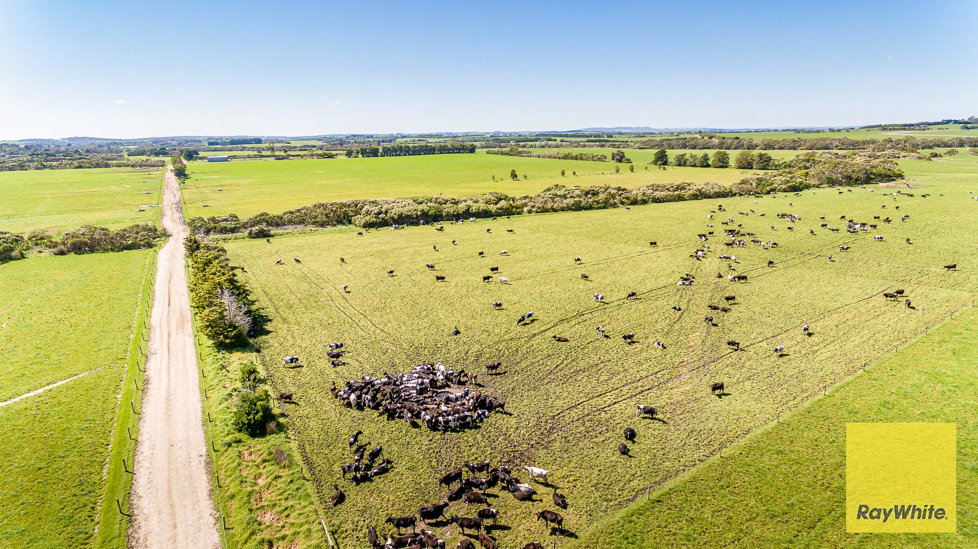 Outstanding Dairy Opportunity — photo 7 of 30