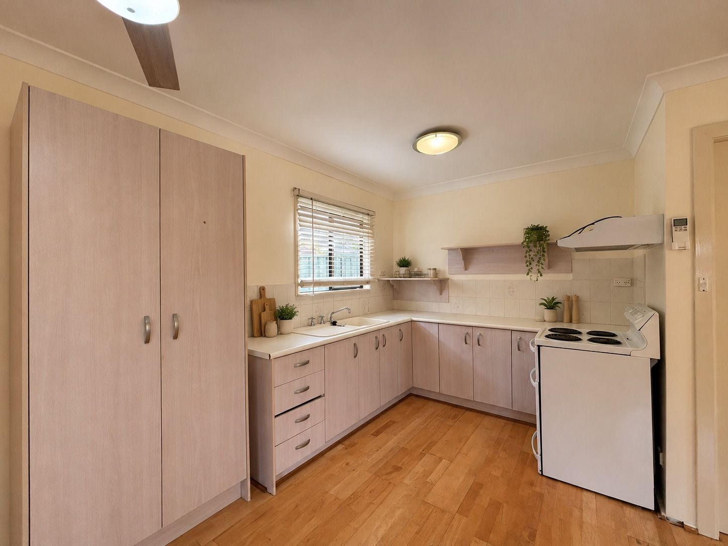 3a Ellen Place — photo 4 of 9