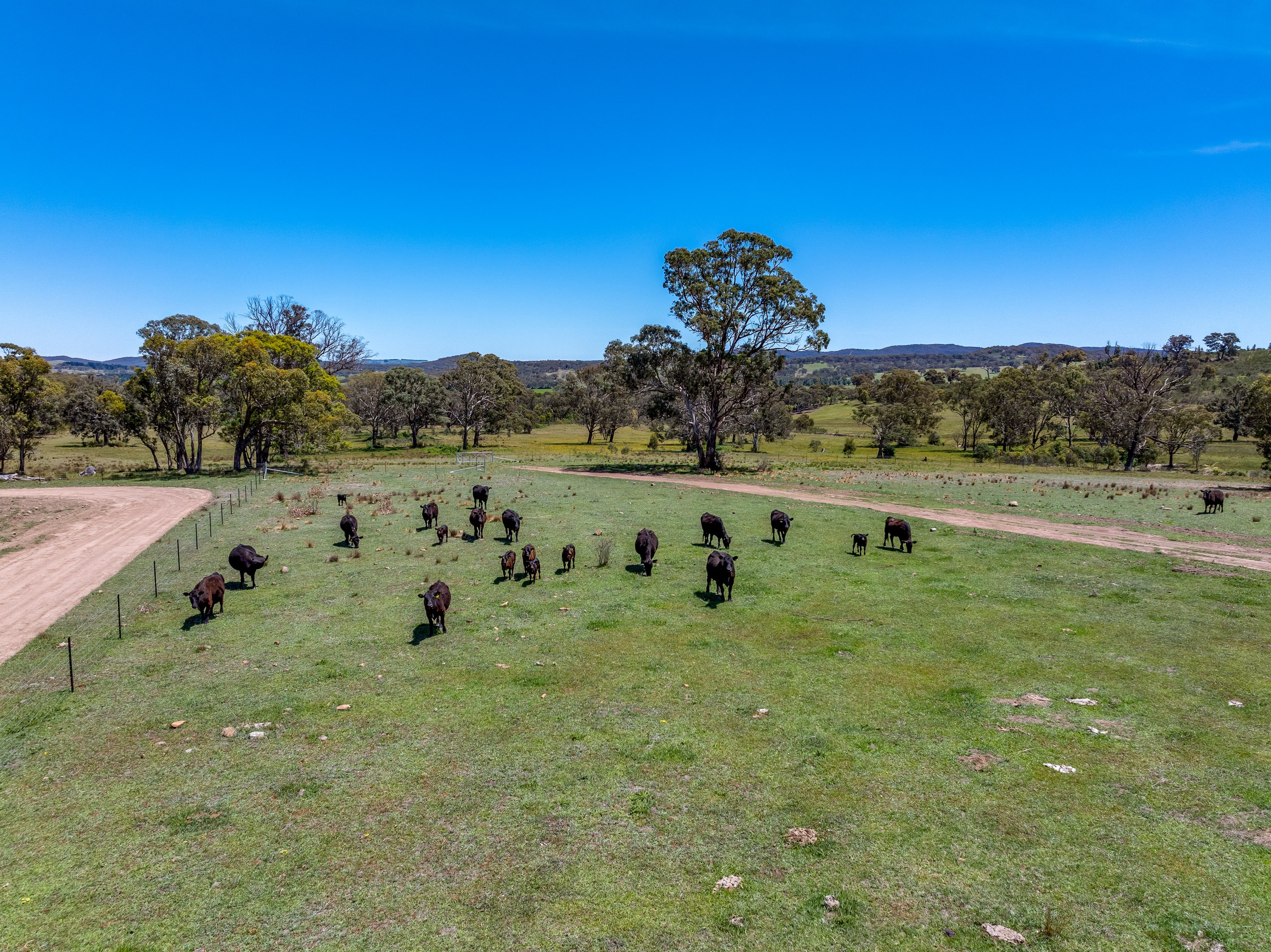 79/278 Campbells Lane Via Middle Arm, Goulburn, NSW 2580