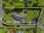 123 Maui Pomare Road photo 32