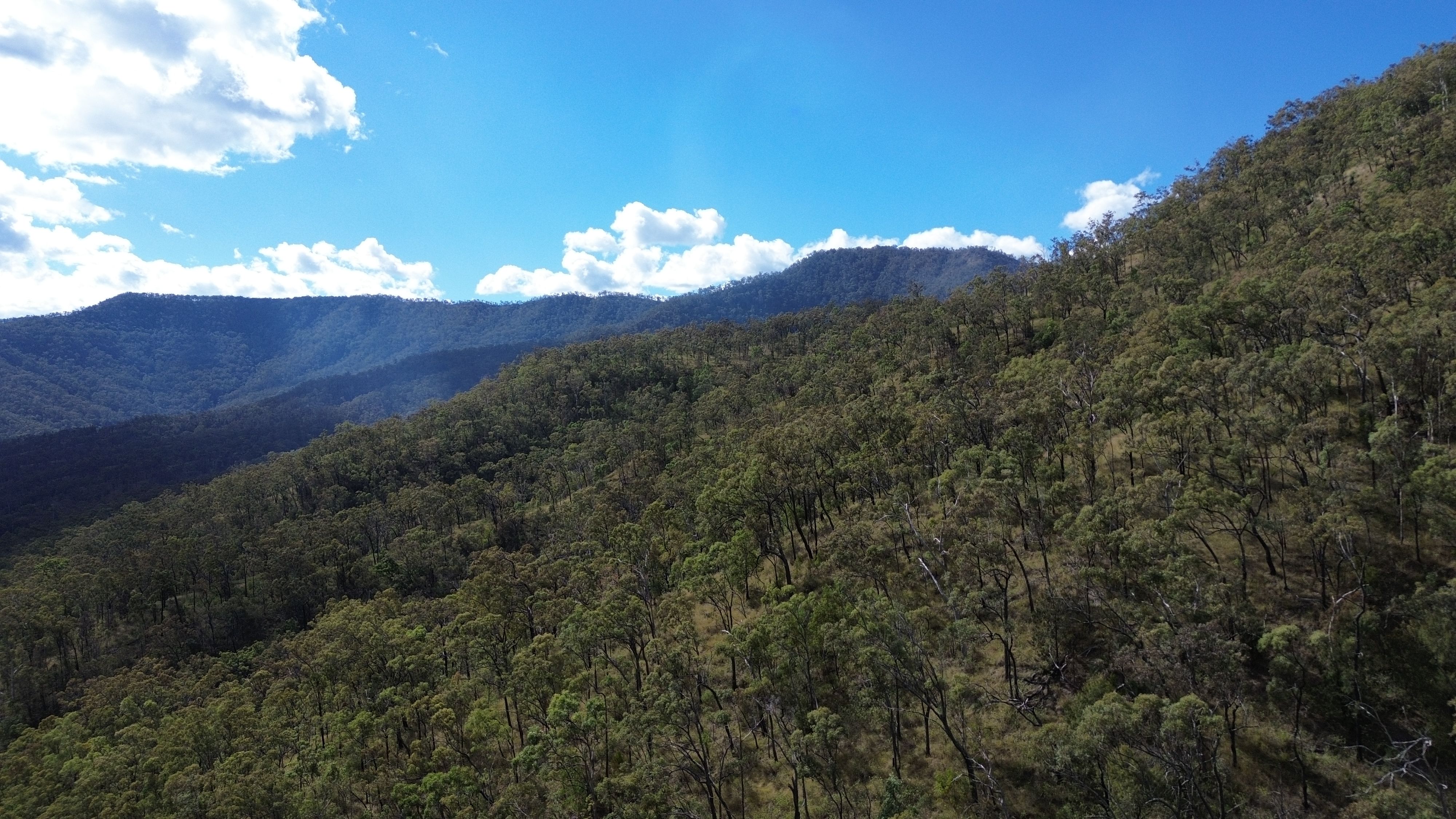 Lot 36 Cole Gully Road, Lefthand Branch, QLD 4343