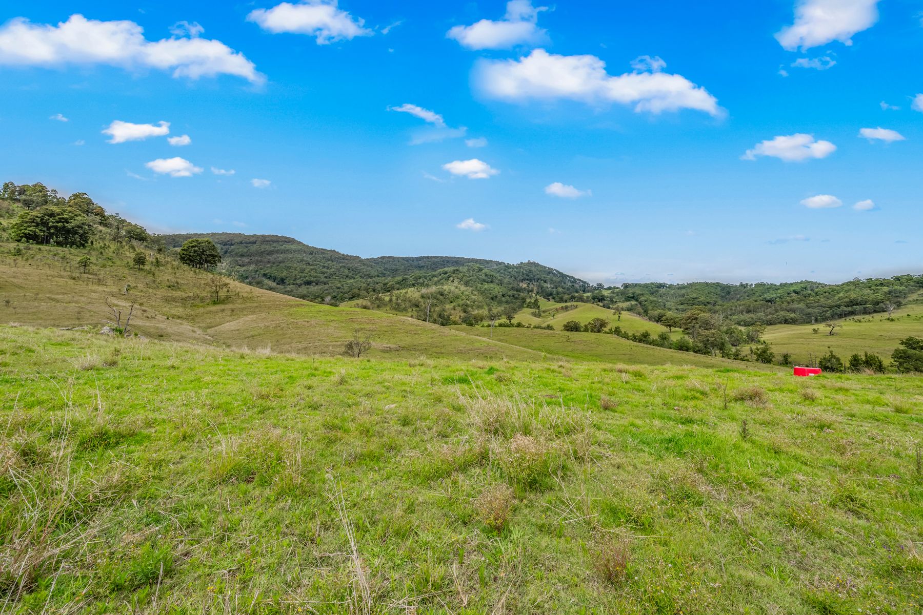 Carrowbrook Road Mount Olive — photo 10 of 15