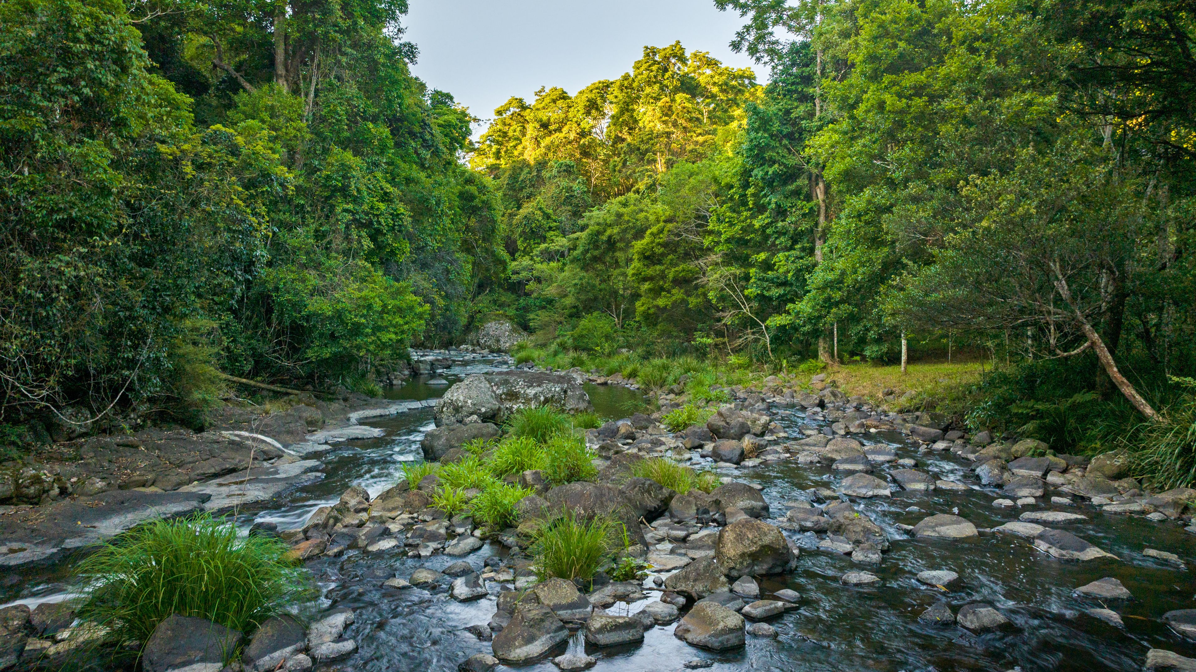 "Bariya" 586 Maleny-Montville Road — photo 28 of 30