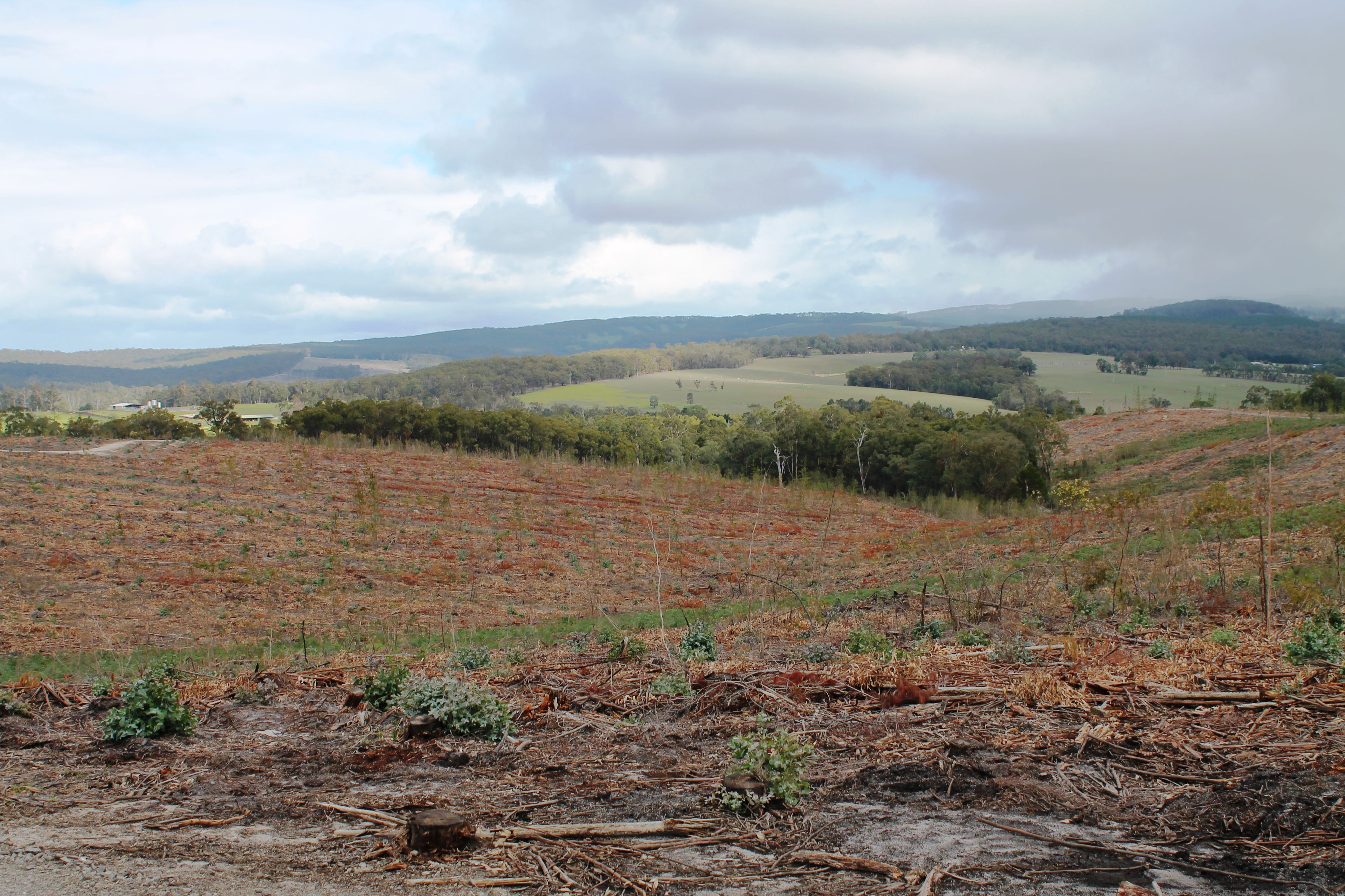 'Beckwith' CA 61A Henswood Road, Carrajung South, VIC 3844