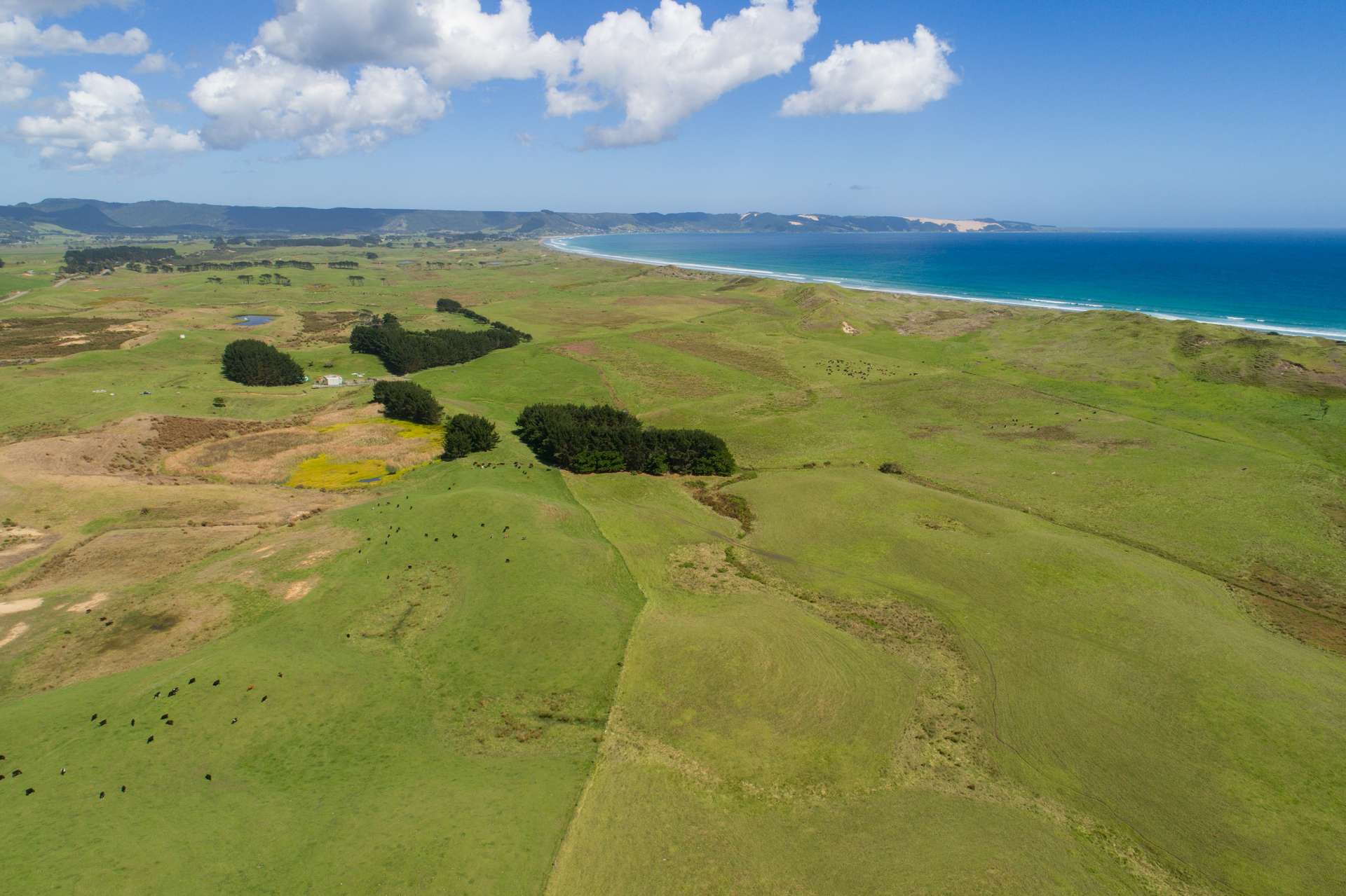 Ahipara  Far North District  0481 photo 0