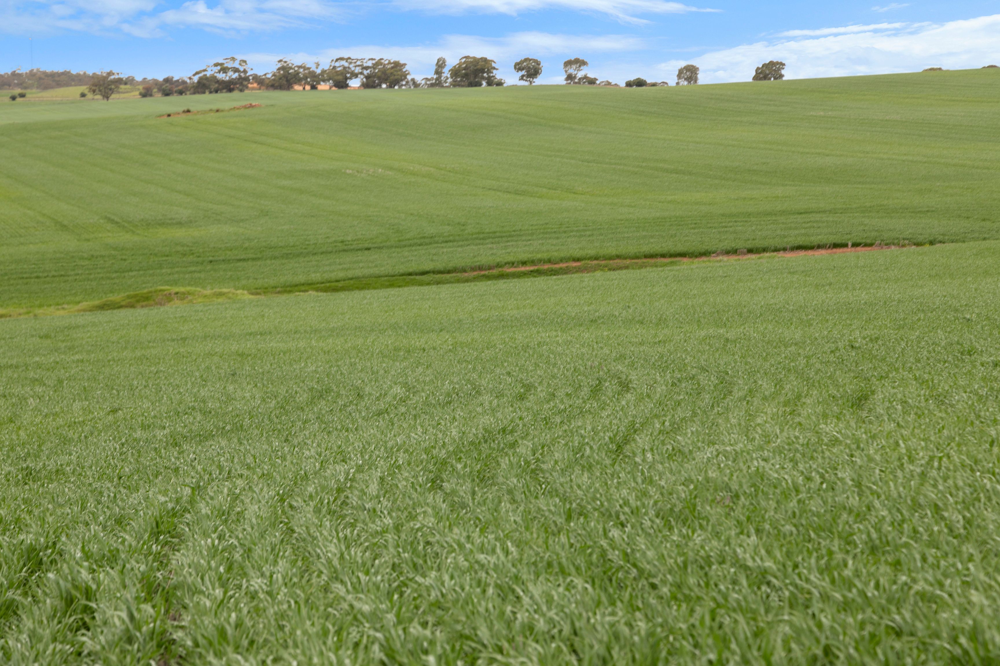 'Broughts'/321 Marola Road, Yacka, SA 5470 Sold Rural Mixed Farming