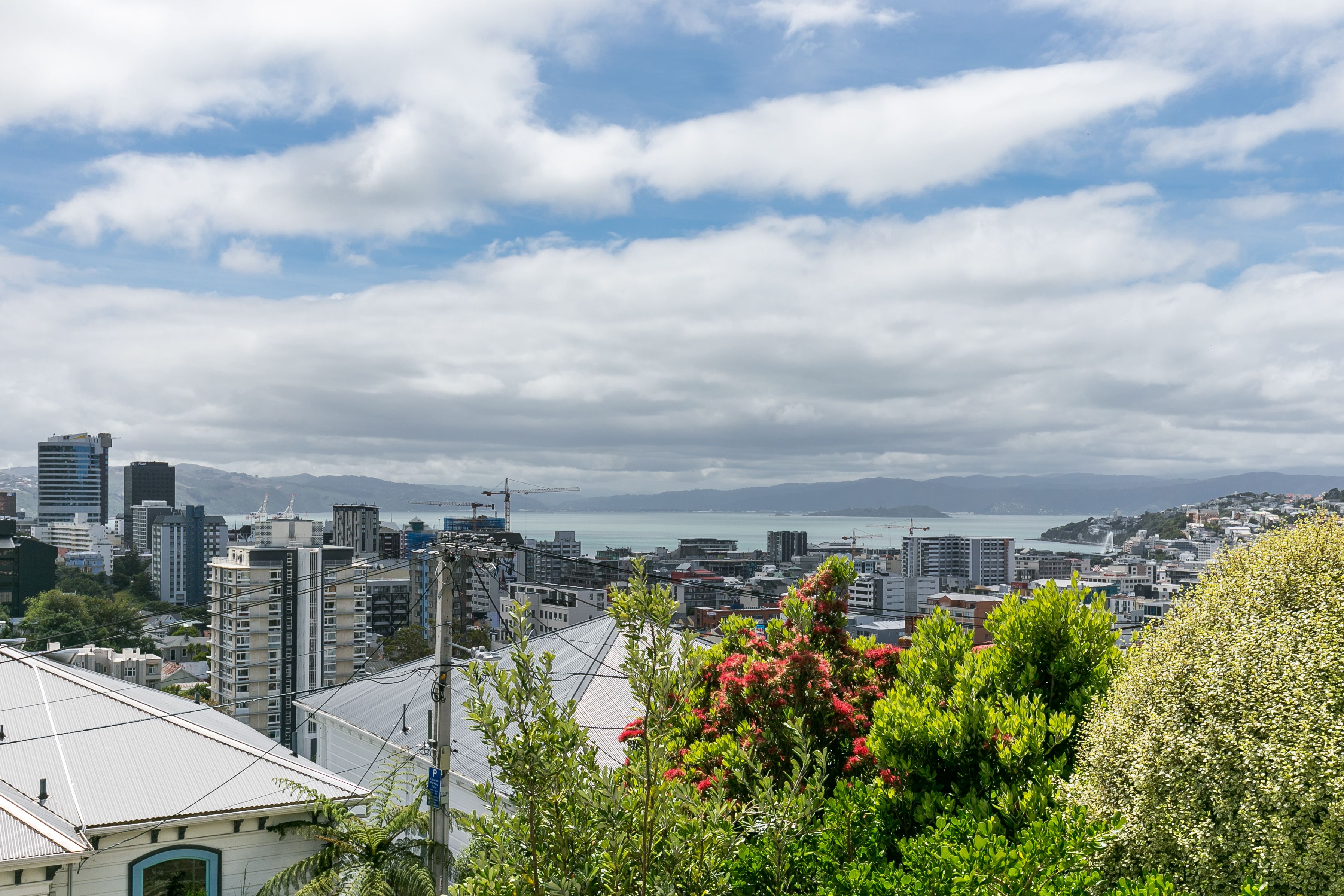 19 Maarama Crescent, Aro Valley, Wellington City