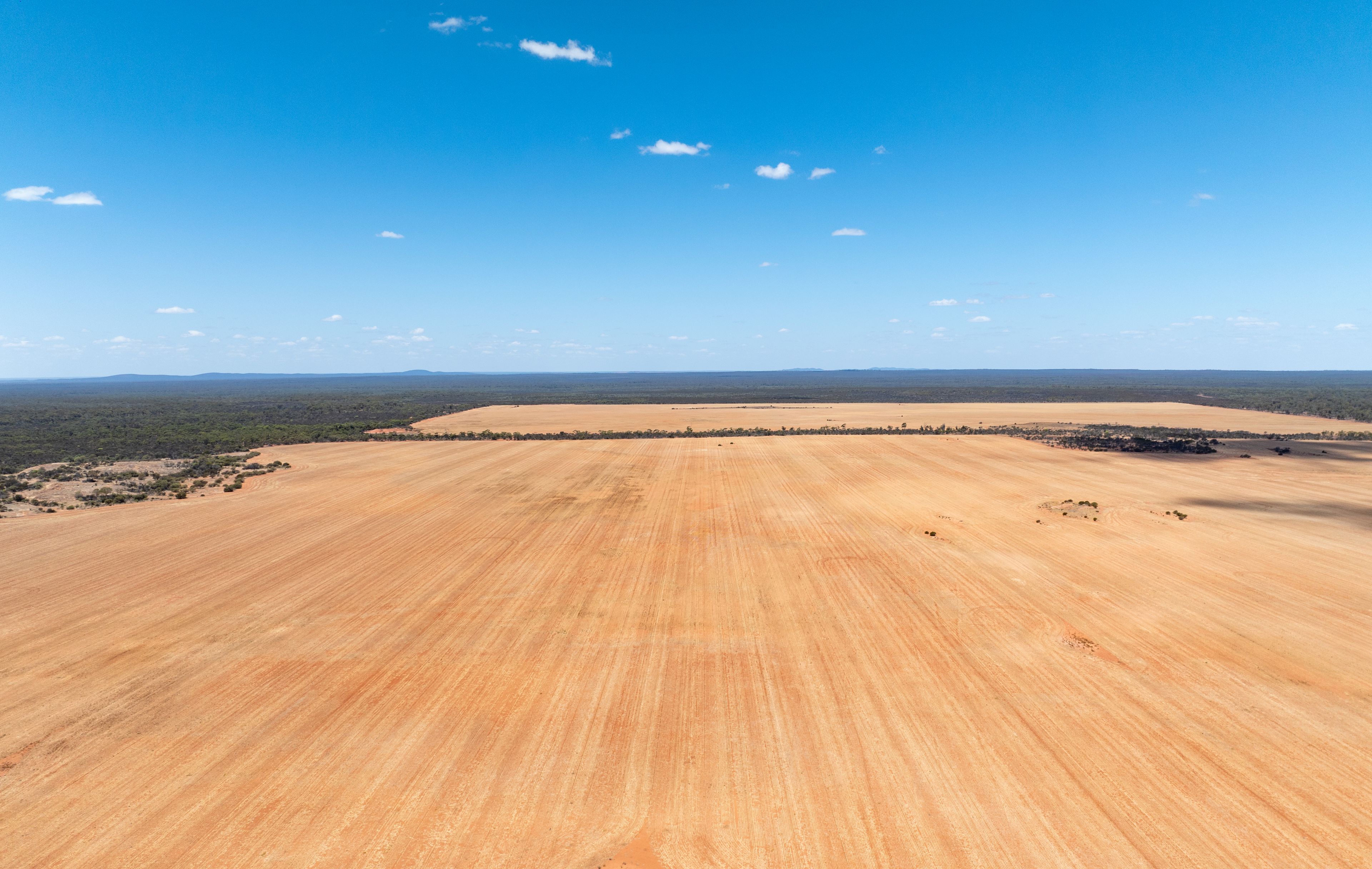 Bullfinch Aggregation, Bullfinch-Evanston Road, Bullfinch, WA 6484