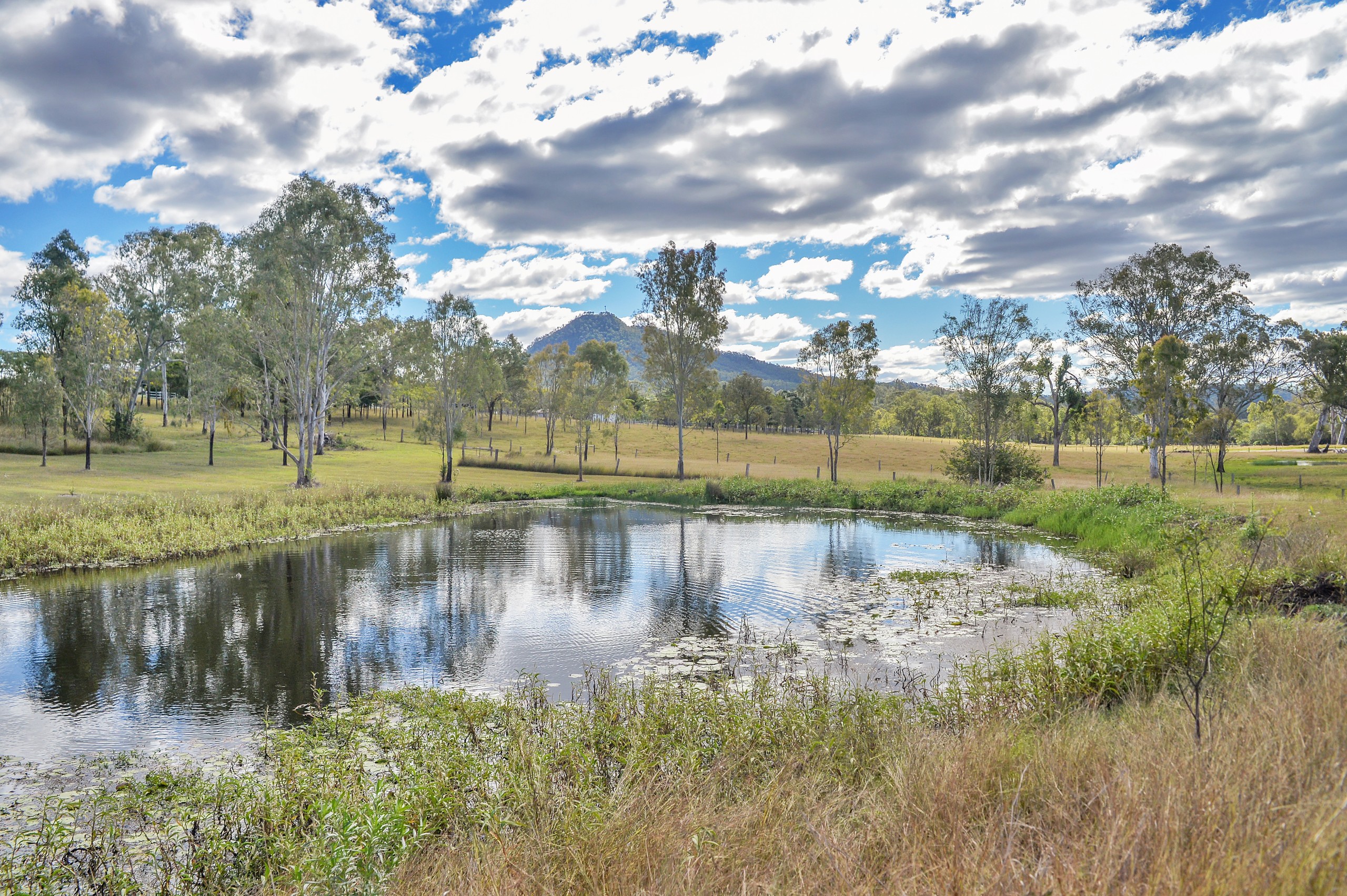 Lot 65 Coleyville Road, Coleyville, QLD 4307