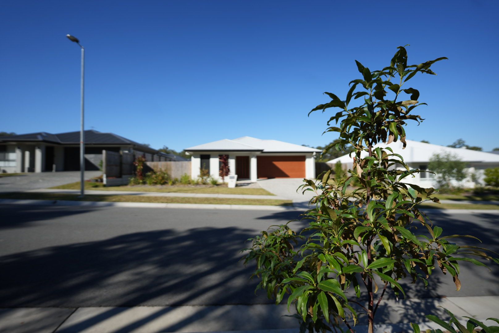 11 Horseshoe Circuit, Yarrabilba, QLD 4207