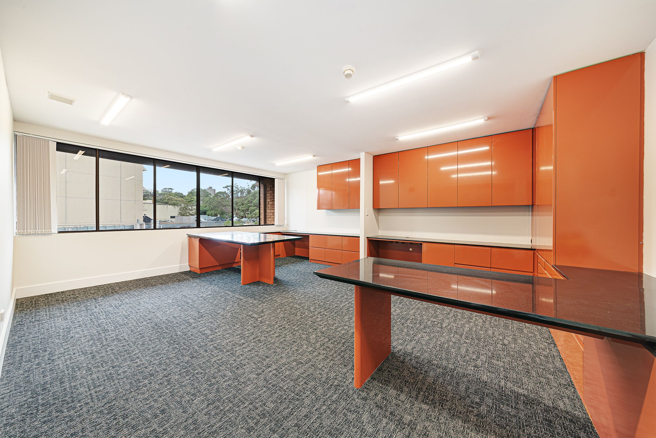 Suite 15/201 New South Head Road (Cnr New McLean St), Edgecliff, NSW 2027
